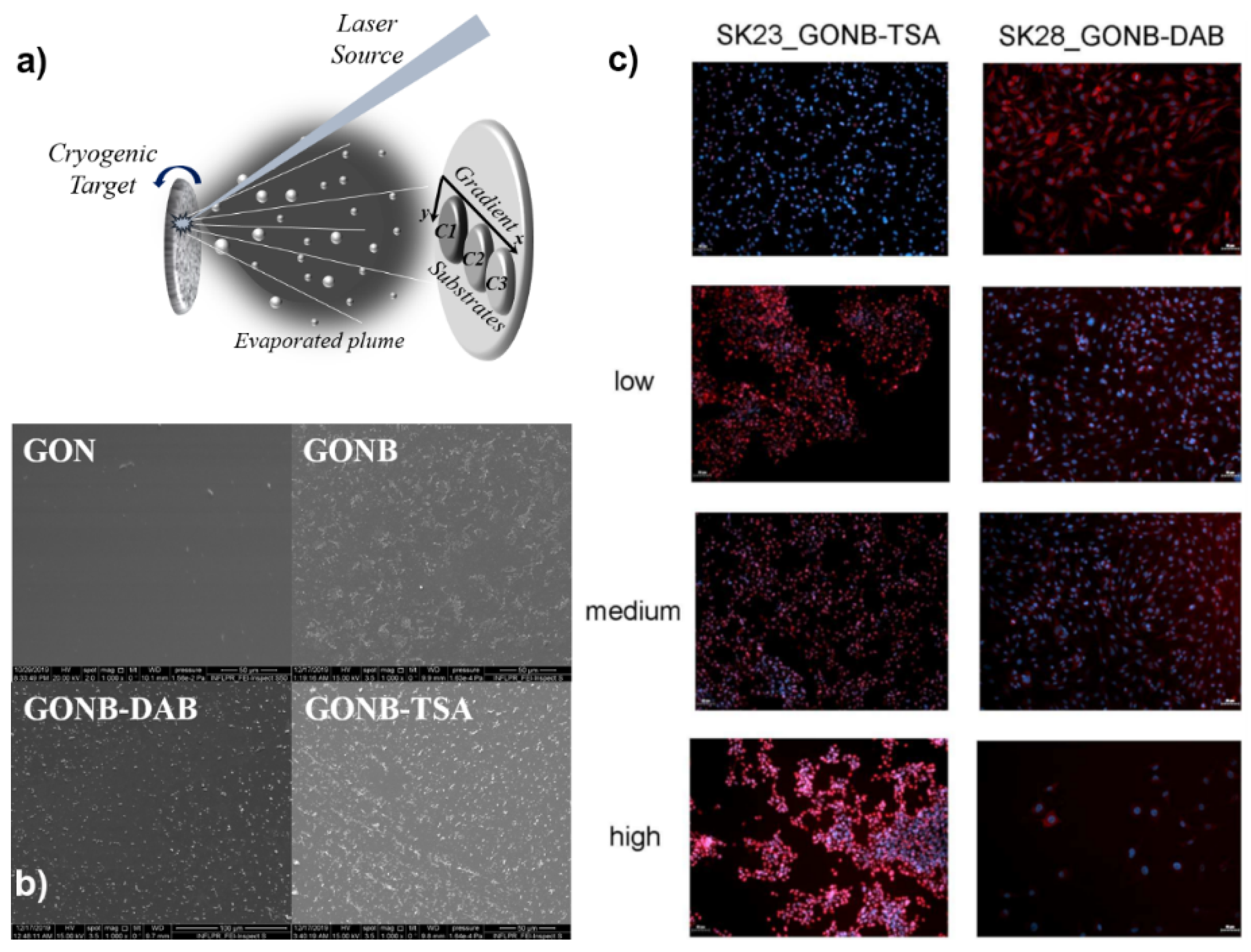 Coatings 10 00463 g006