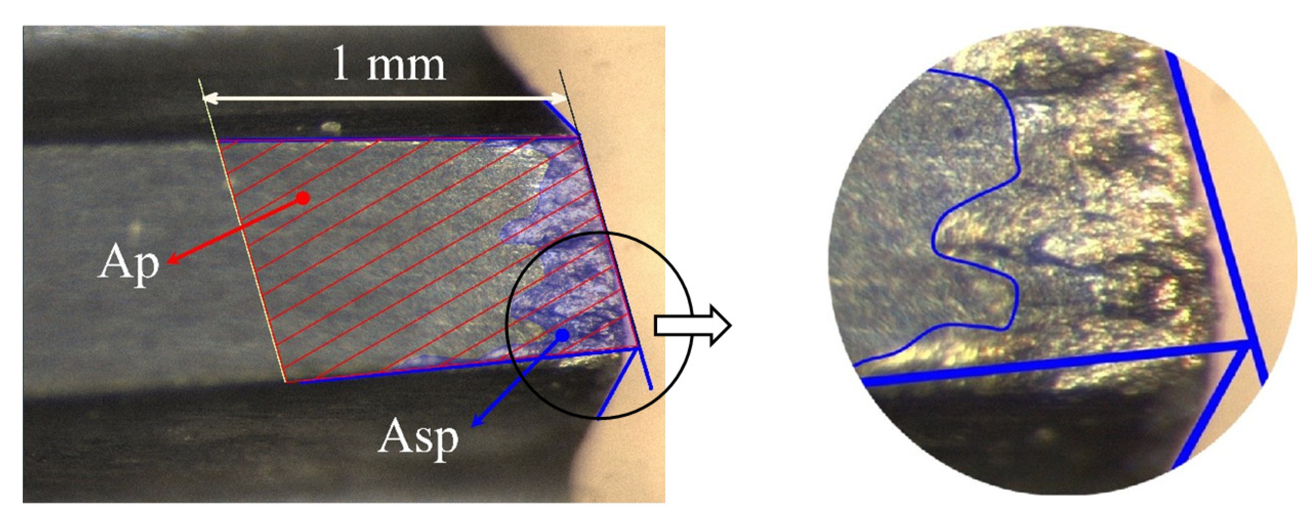 Coatings 10 00464 g010