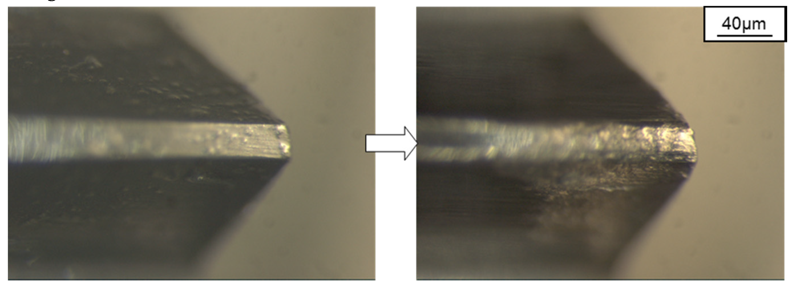 Coatings 10 00464 g011