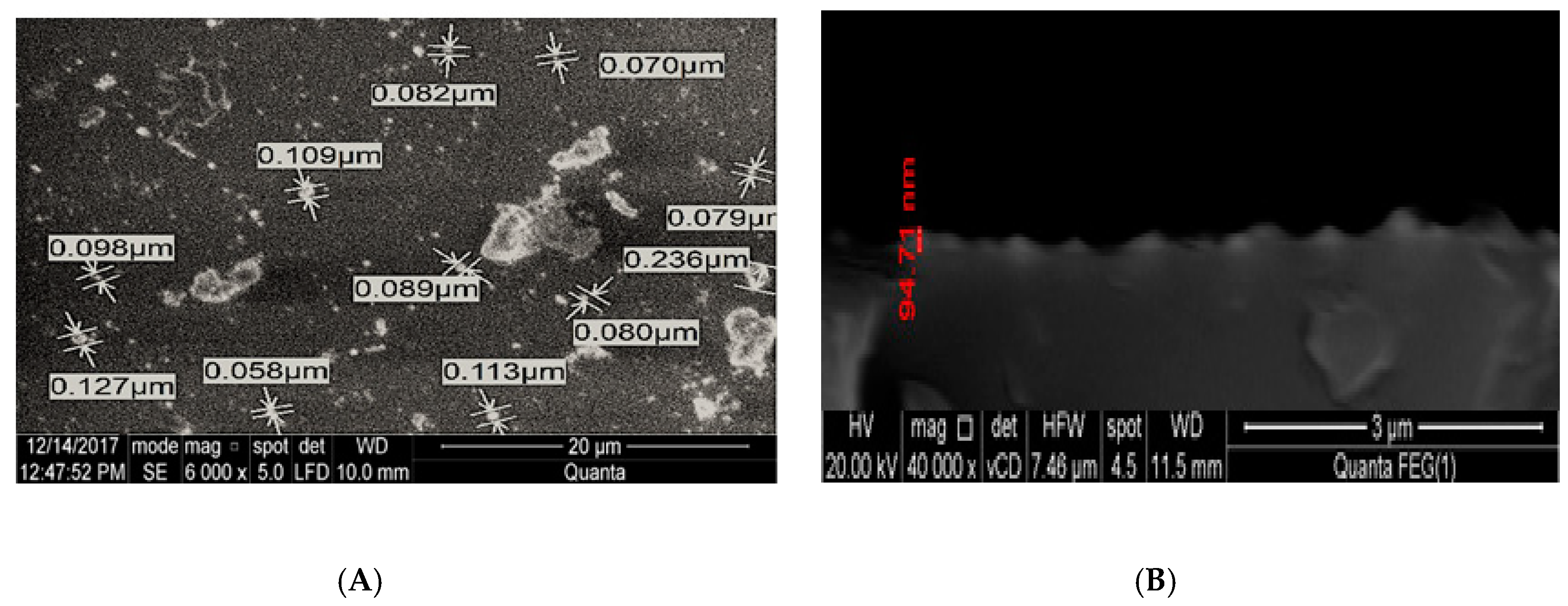 Coatings 10 00465 g003