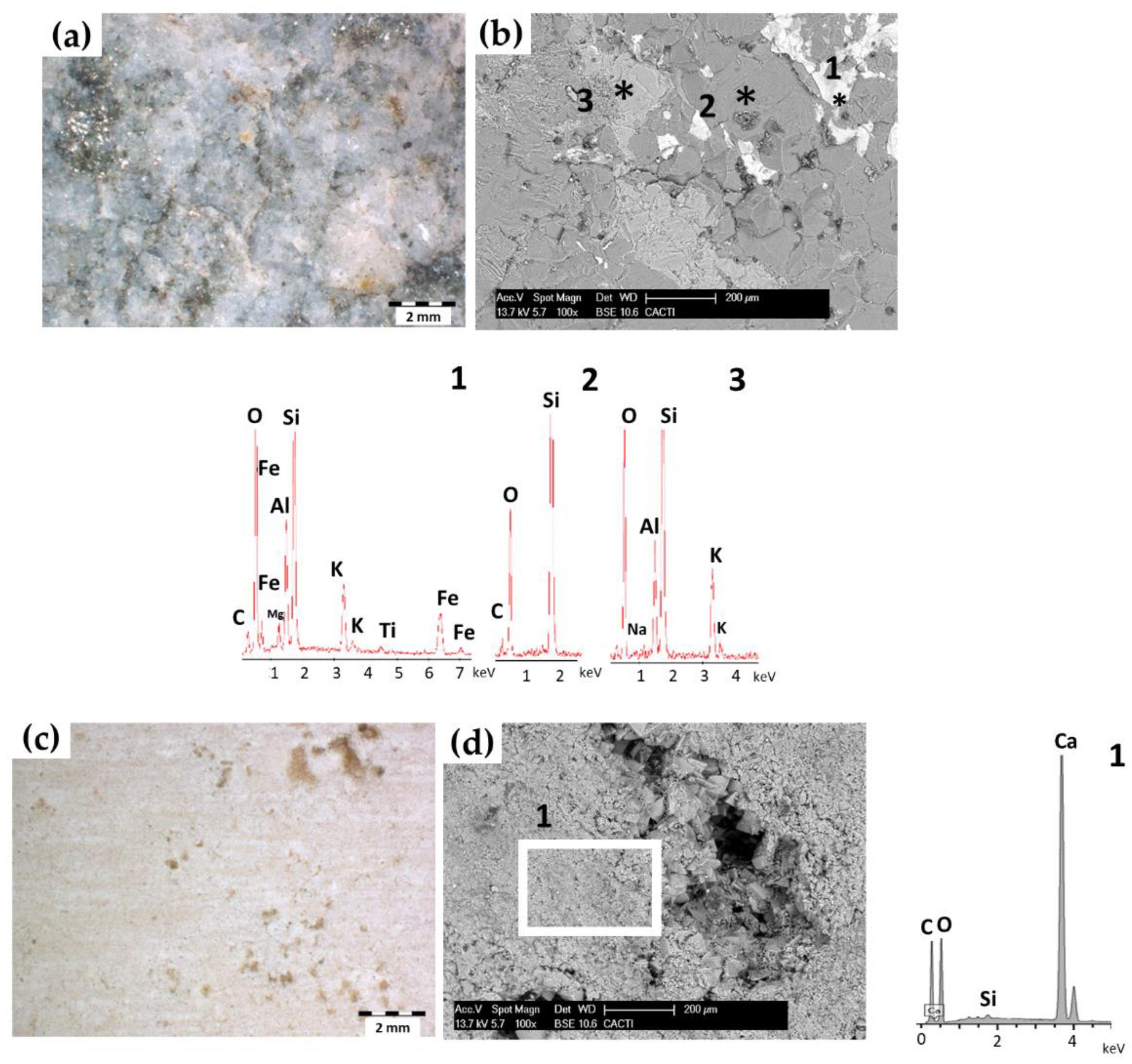Coatings 10 00466 g001 Coatings 10 00466 g001