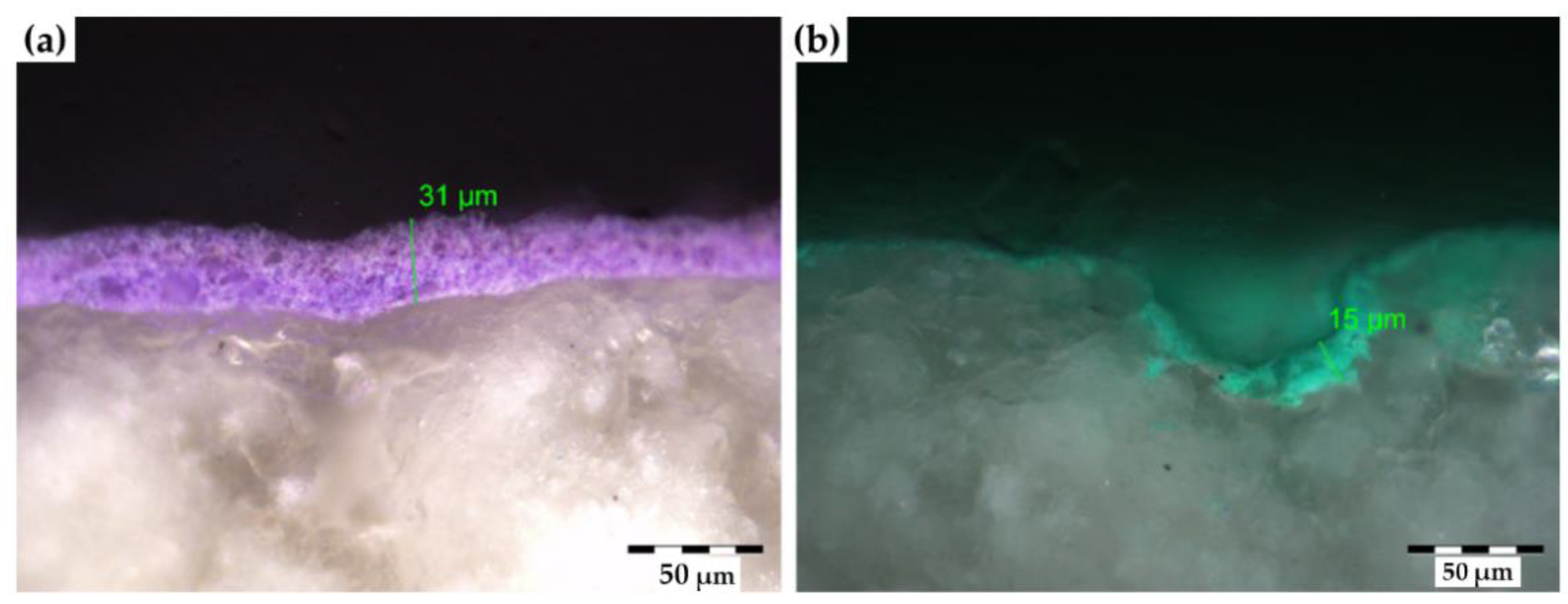 Coatings 10 00466 g003 Coatings 10 00466 g003
