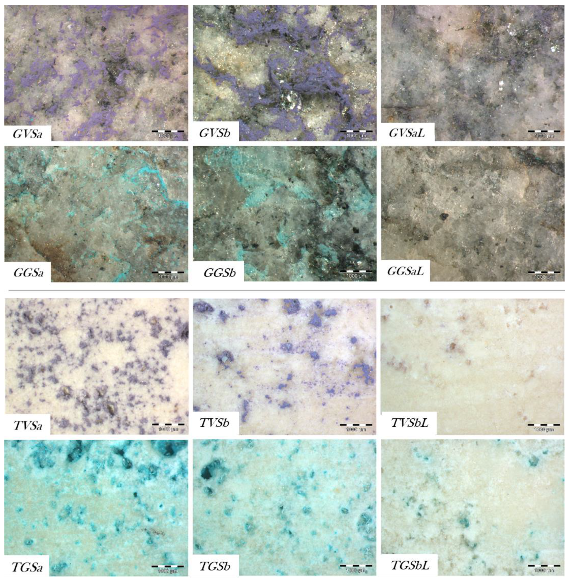 Coatings 10 00466 g004 Coatings 10 00466 g004