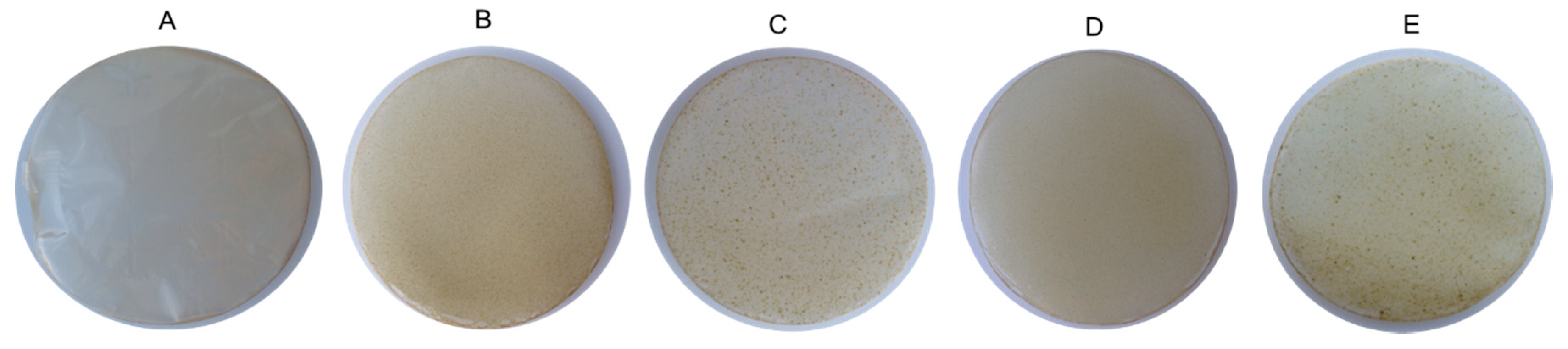 Coatings 10 00467 g001