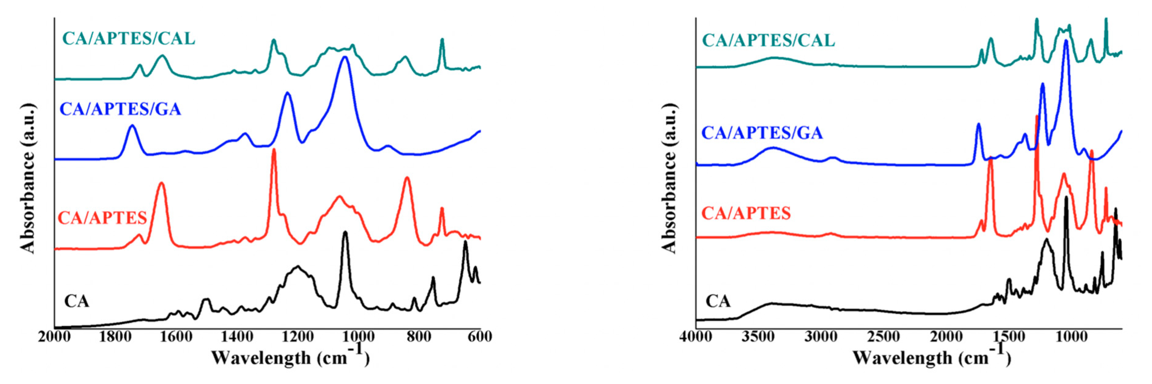 Coatings 10 00468 g003 Coatings 10 00468 g003