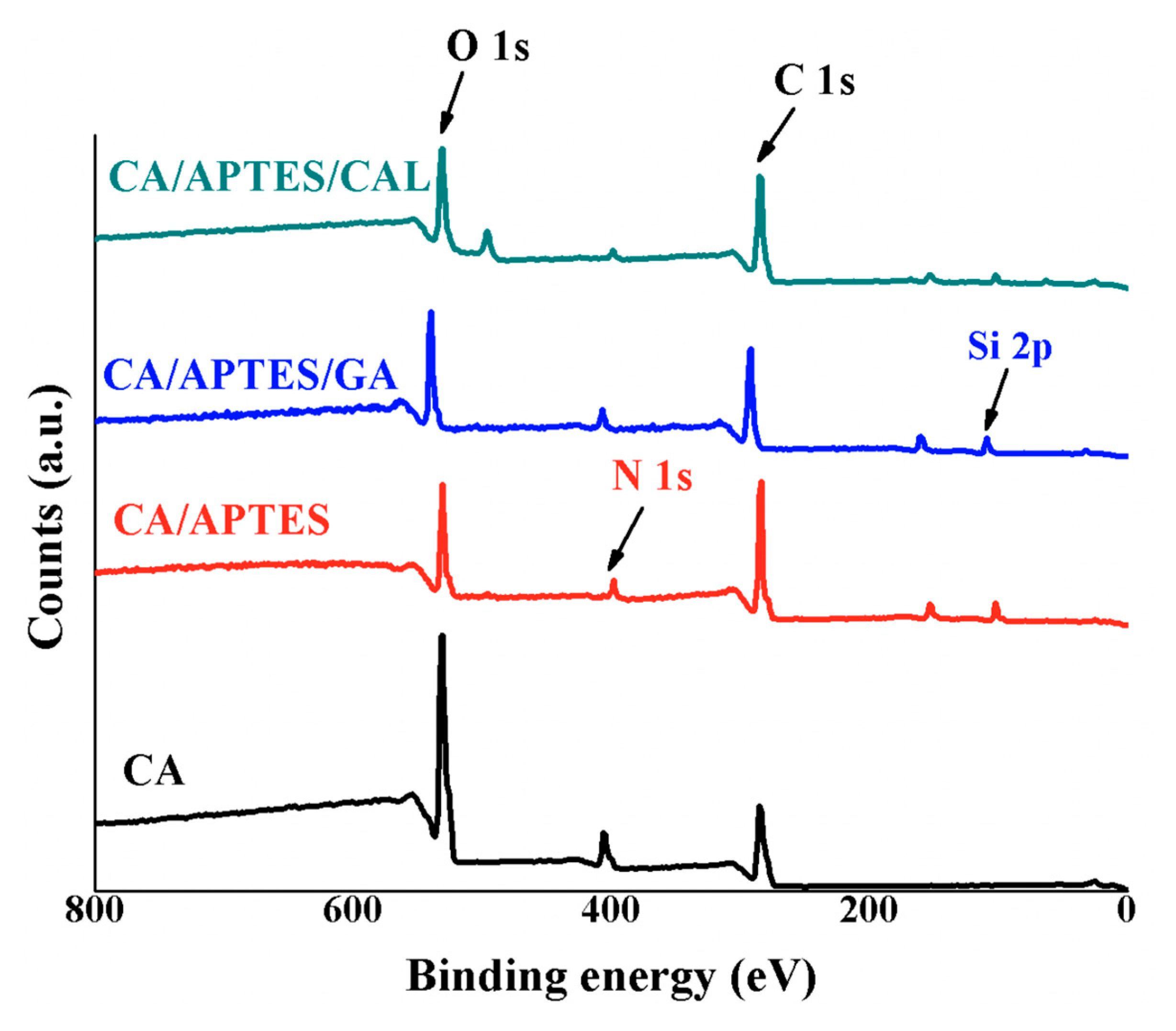Coatings 10 00468 g005 Coatings 10 00468 g005