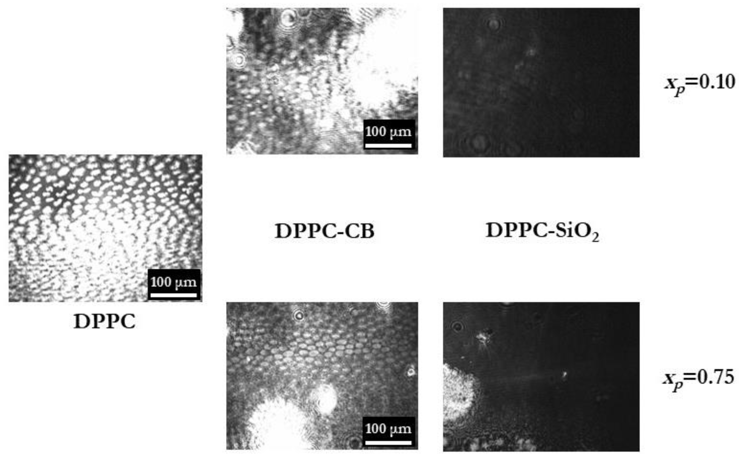 Coatings 10 00469 g006 Coatings 10 00469 g006