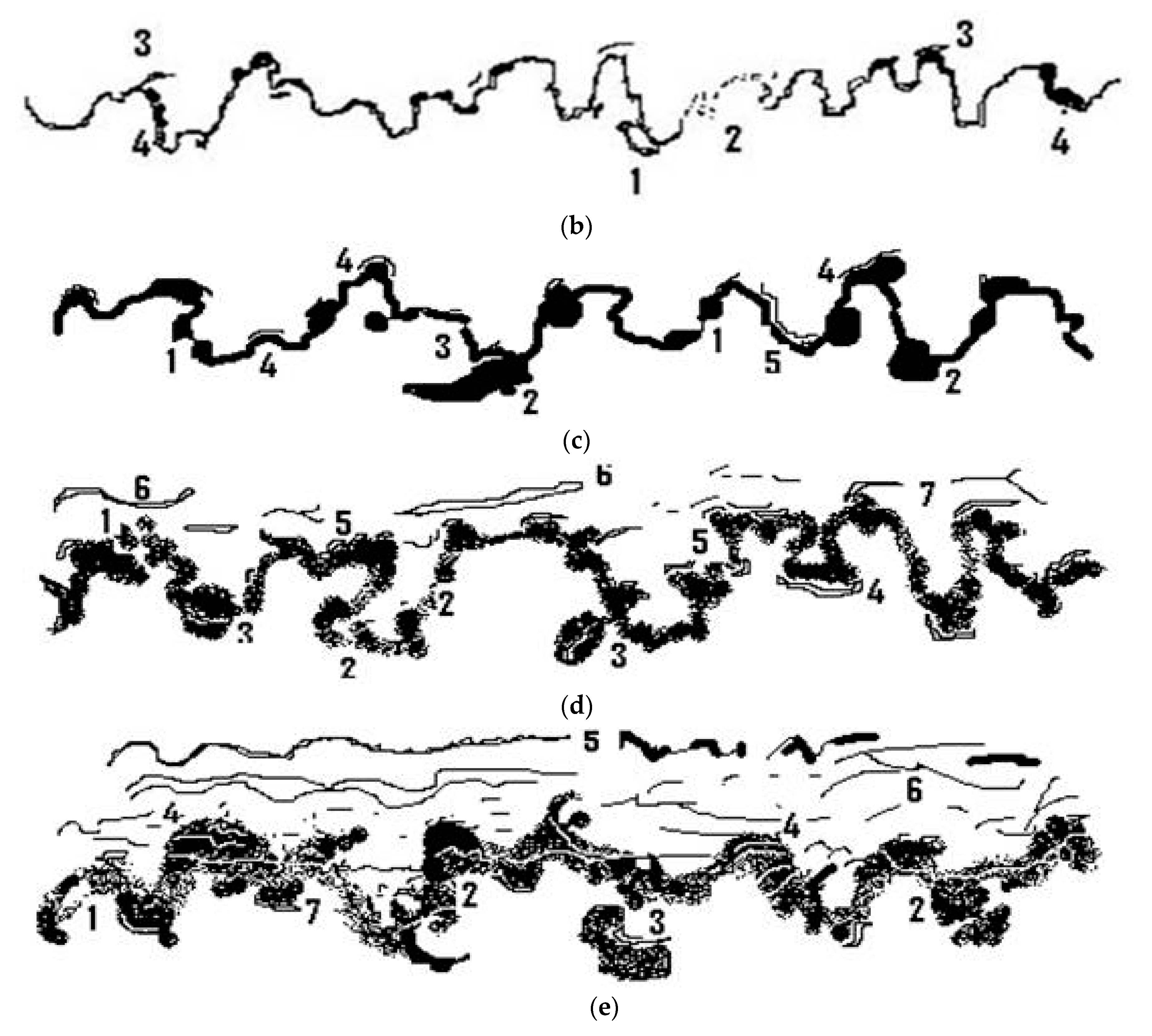 Coatings 10 00474 g006b Coatings 10 00474 g006b