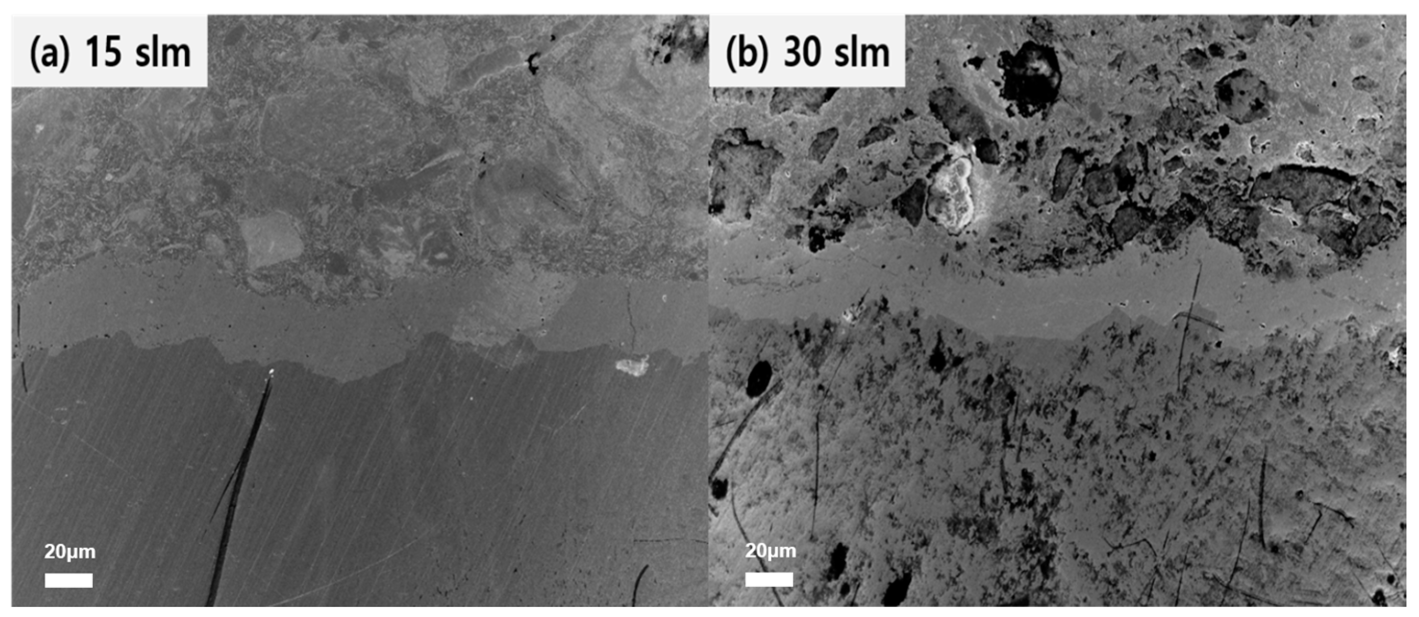Coatings 10 00481 g008