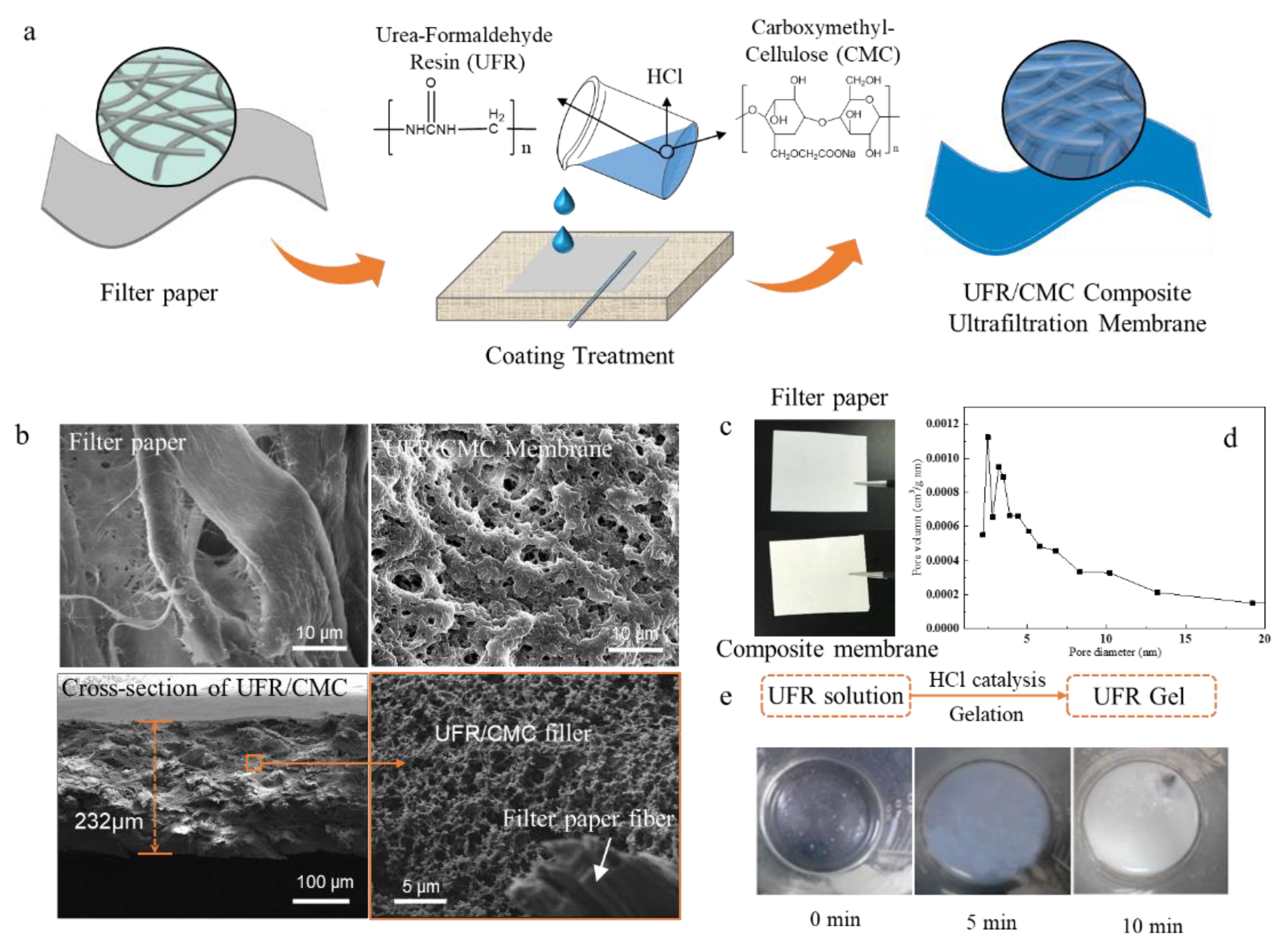 Coatings 10 00482 g001