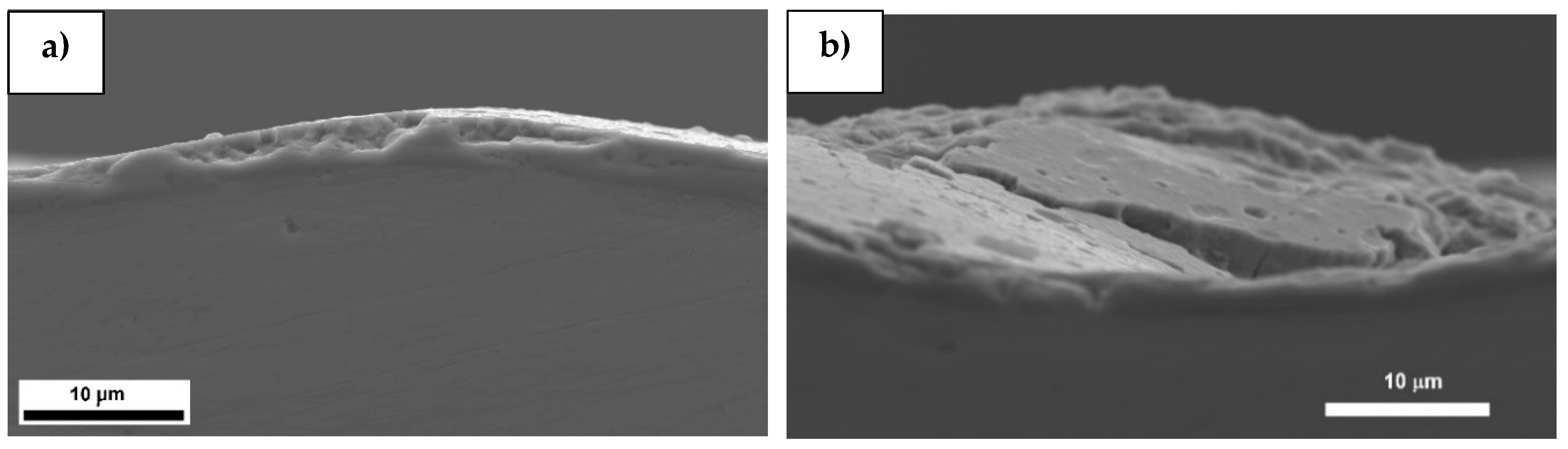 Coatings 10 00487 g007 Coatings 10 00487 g007