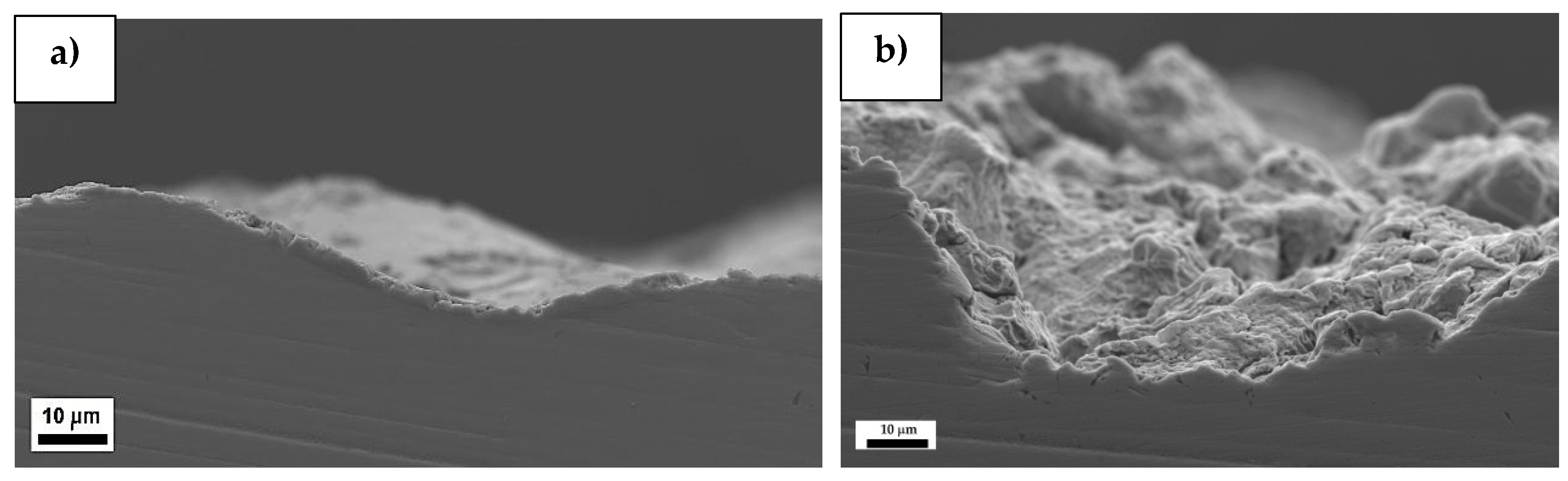 Coatings 10 00487 g009 Coatings 10 00487 g009