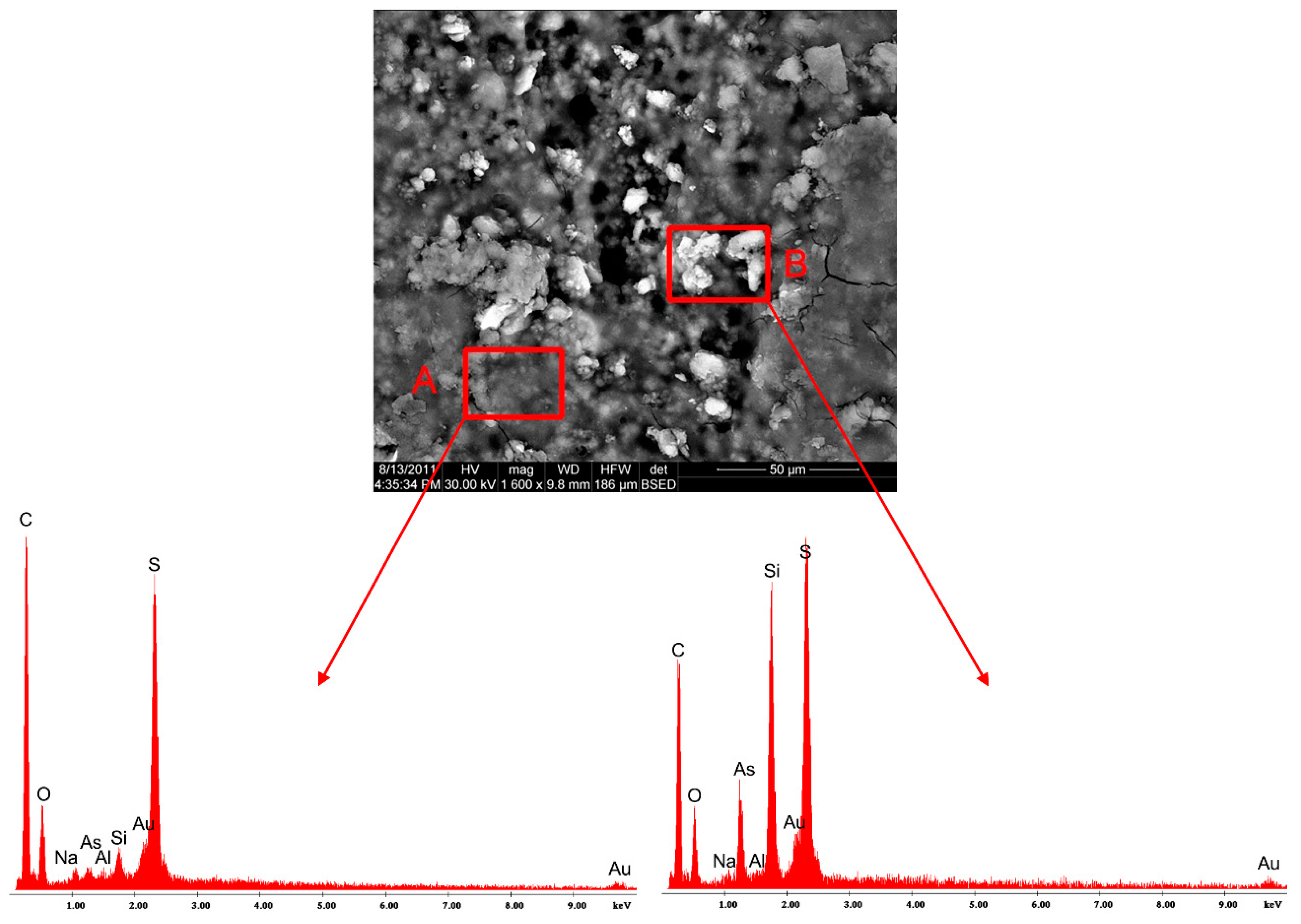 Coatings 10 00490 g004