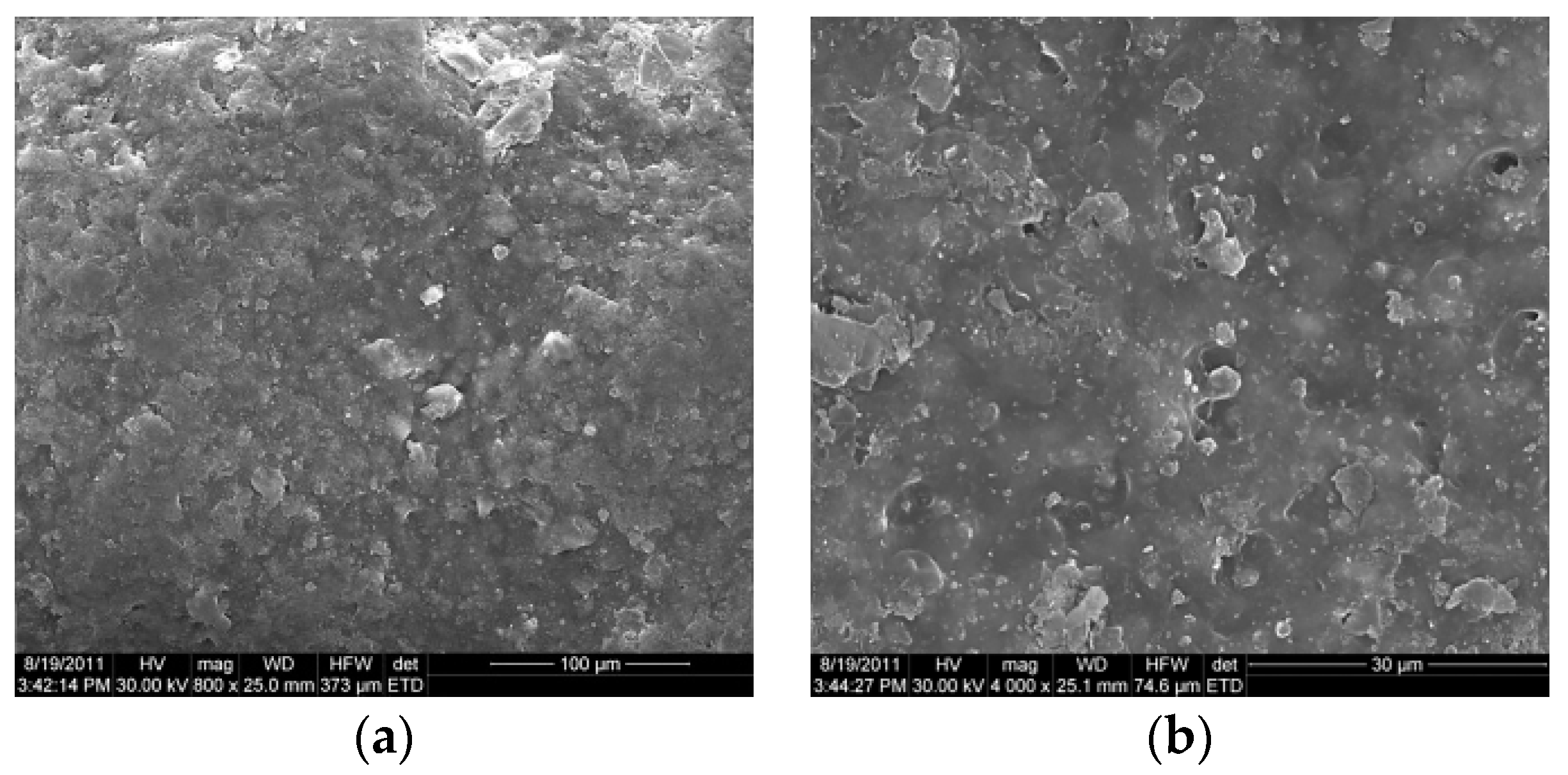 Coatings 10 00490 g005