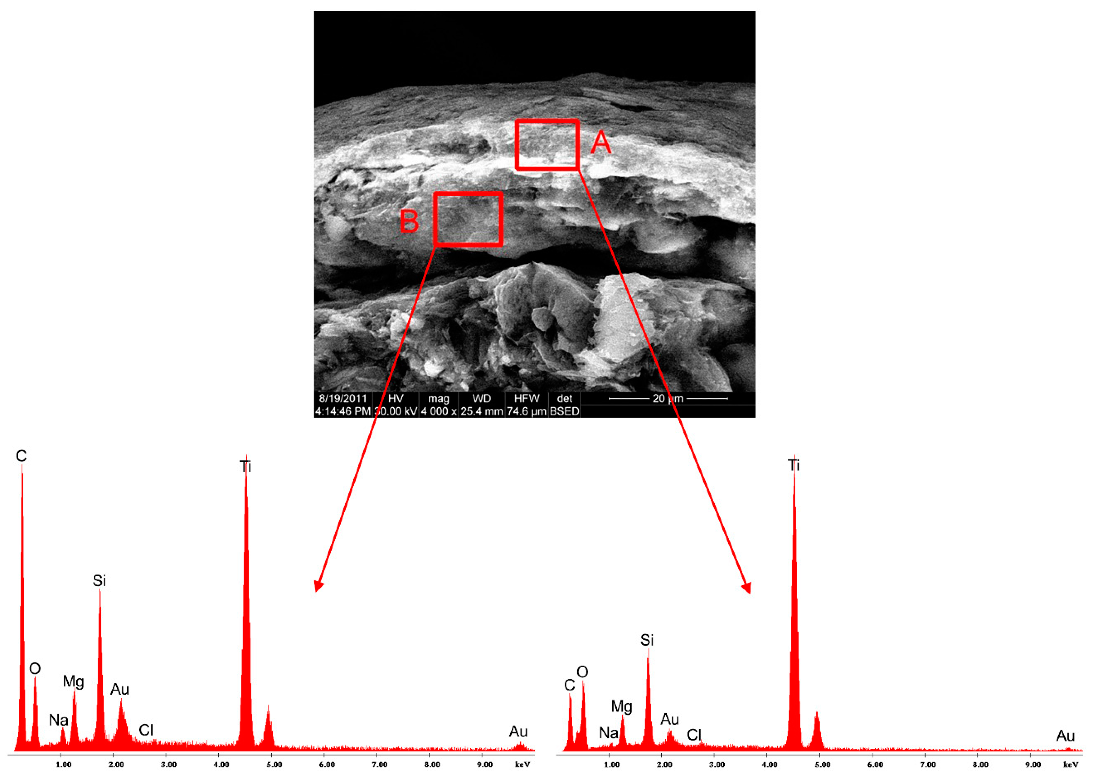 Coatings 10 00490 g008