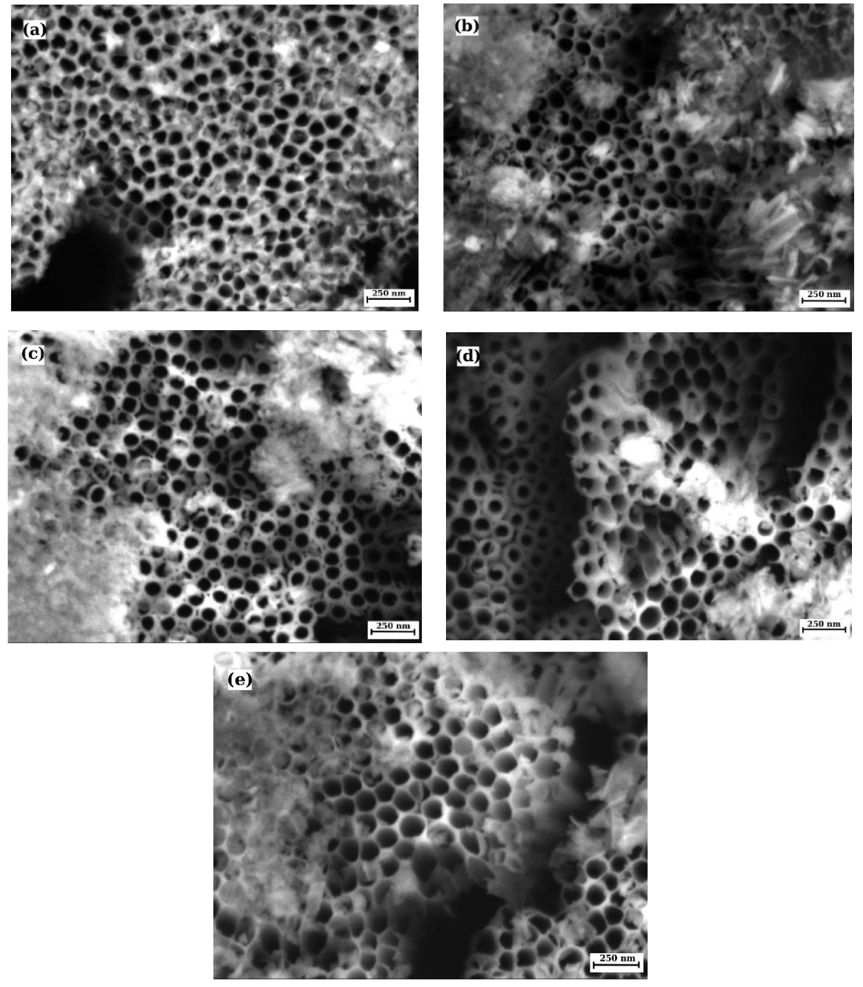 Coatings 10 00491 g005 Coatings 10 00491 g005