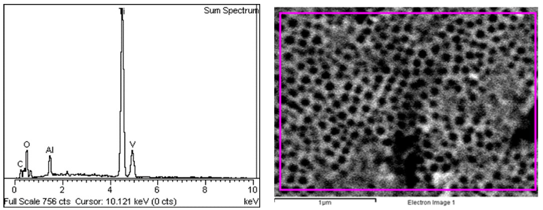 Coatings 10 00491 g007 Coatings 10 00491 g007