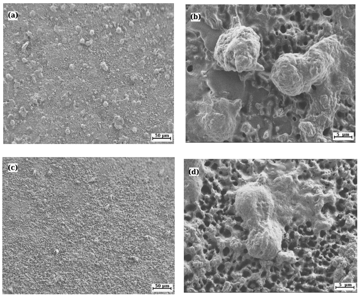 Coatings 10 00491 g012 Coatings 10 00491 g012