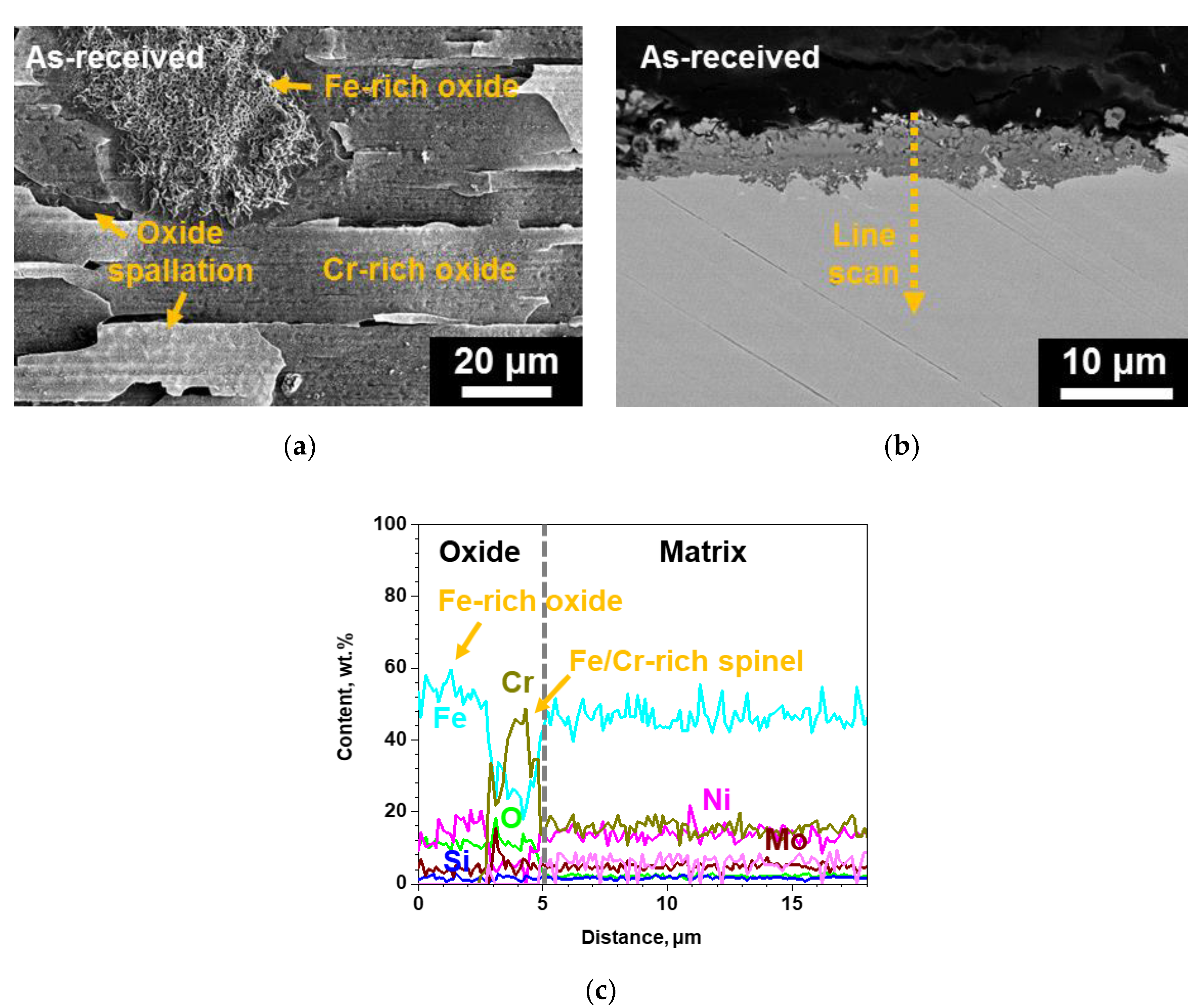 Coatings 10 00493 g005 550