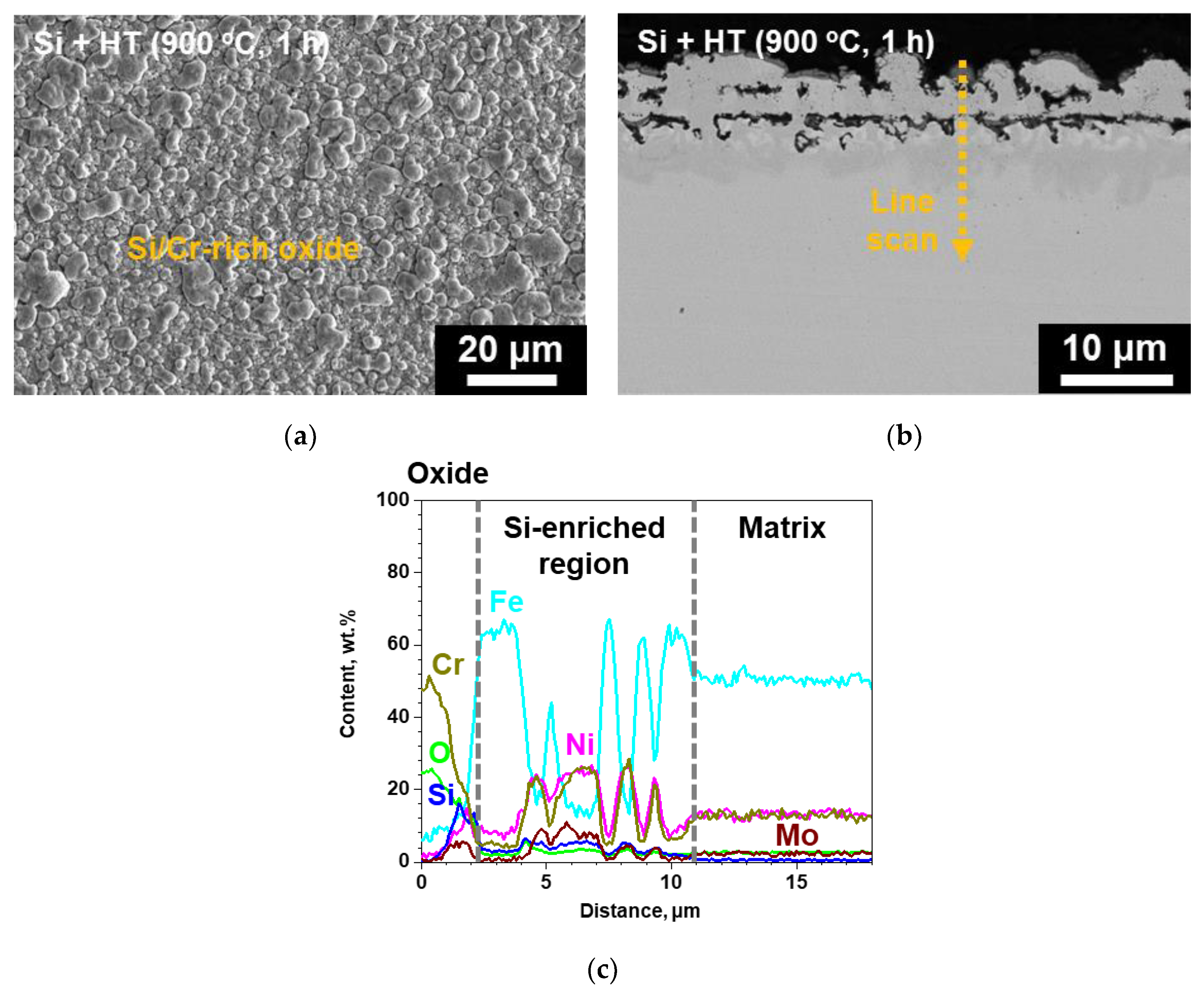 Coatings 10 00493 g006 550