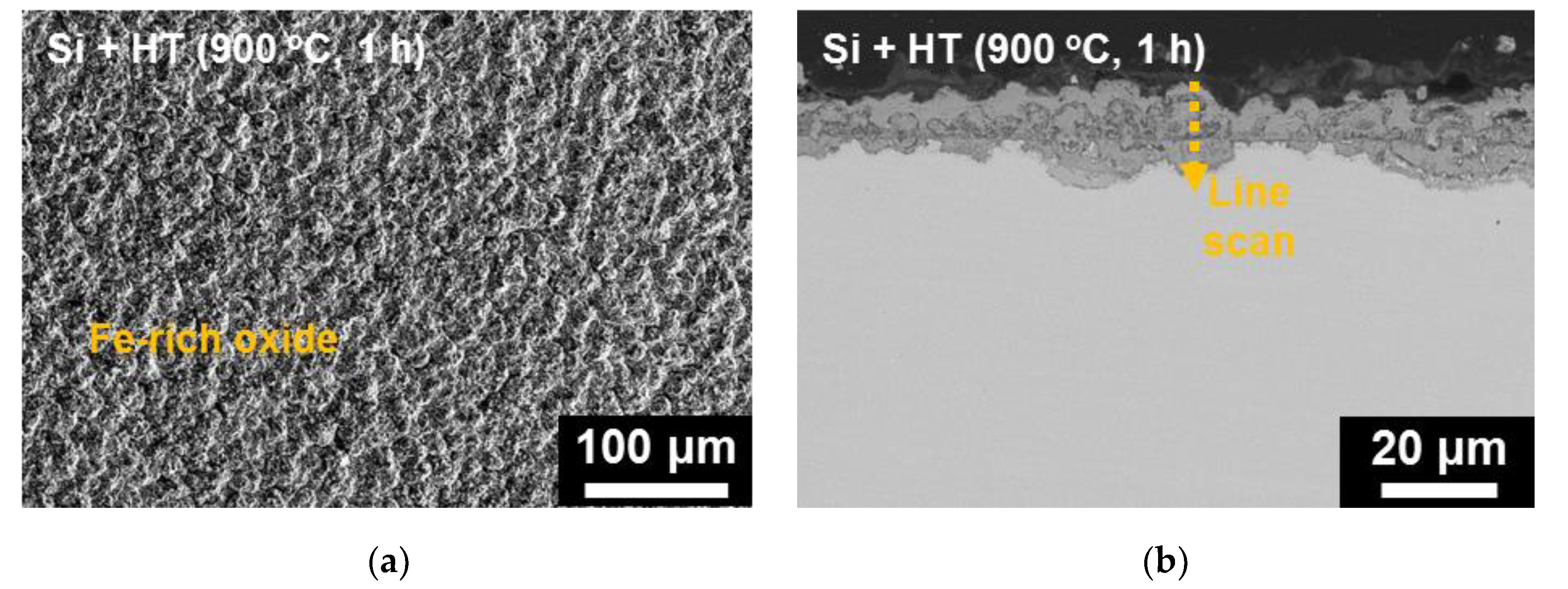 Coatings 10 00493 g009a 550