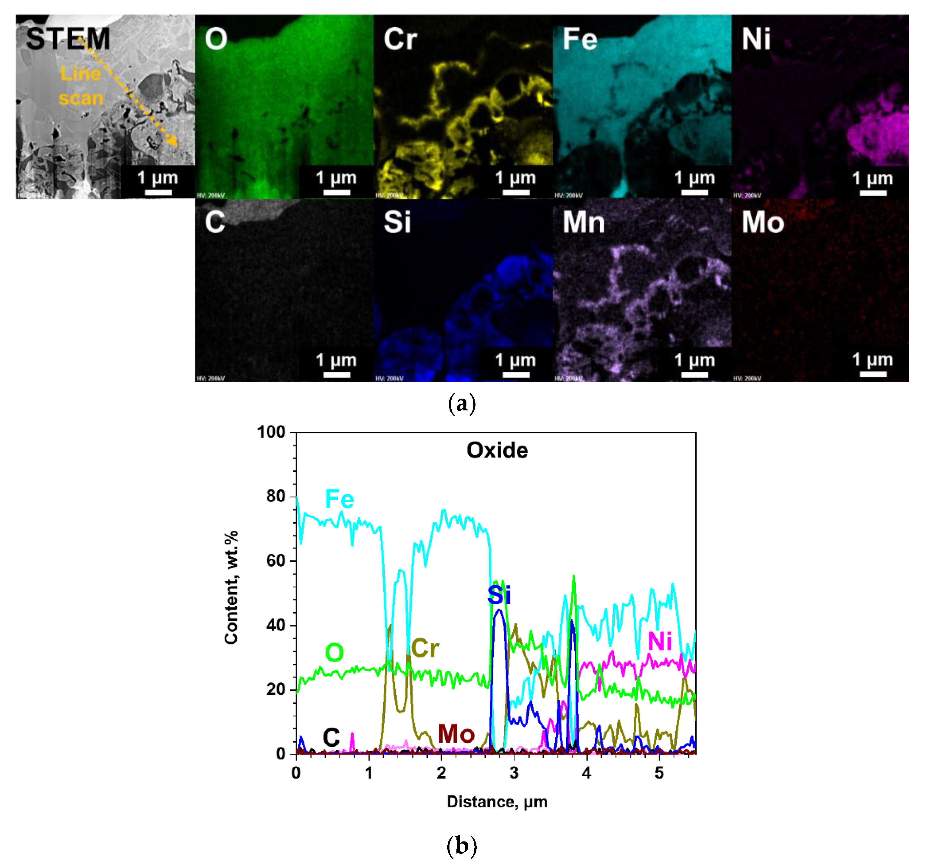 Coatings 10 00493 g010 550