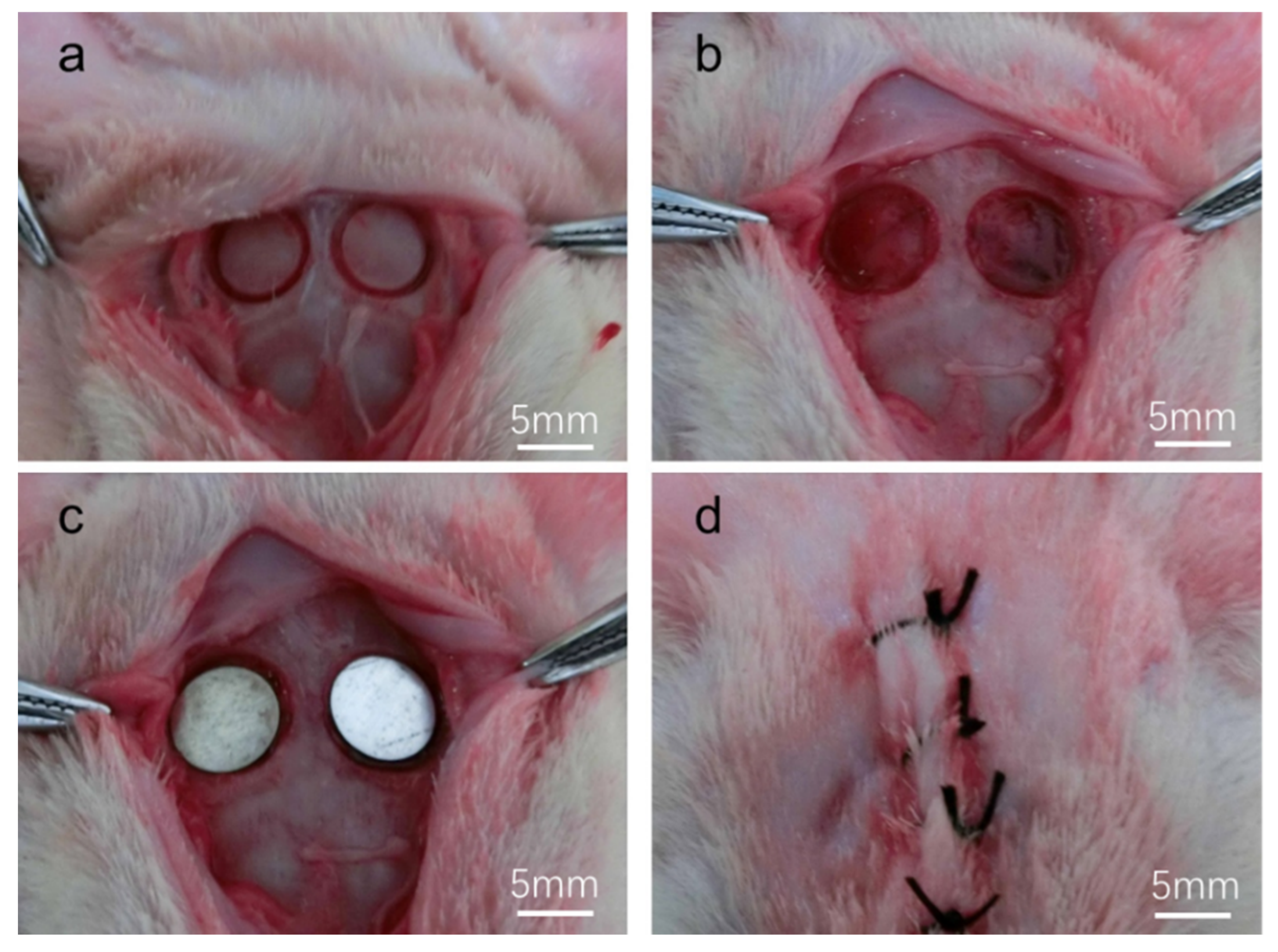 Coatings 10 00496 g001 Coatings 10 00496 g001