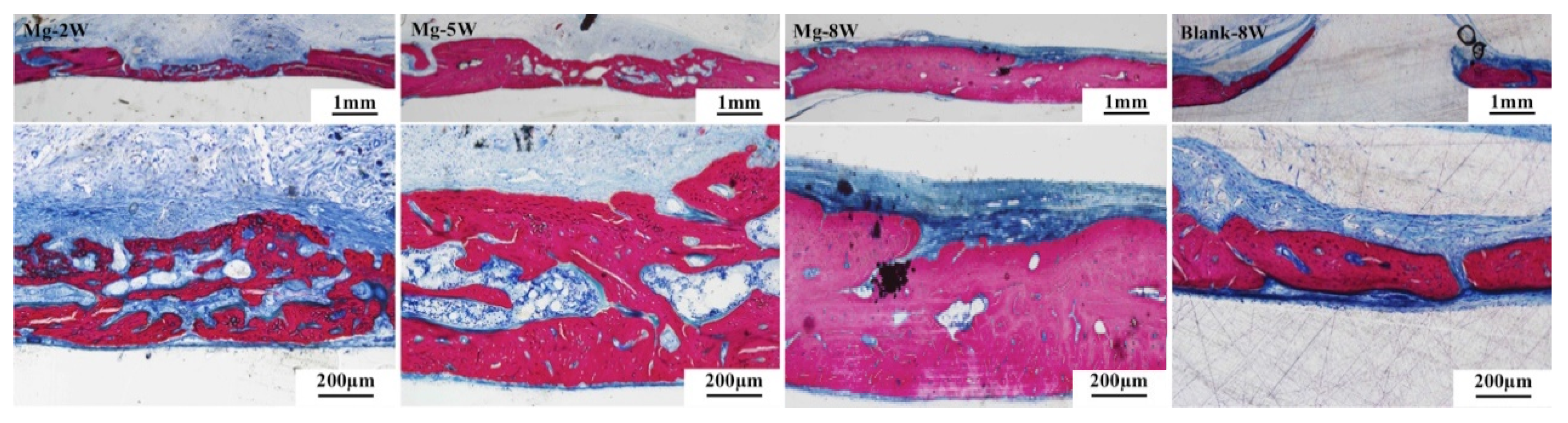 Coatings 10 00496 g006 Coatings 10 00496 g006