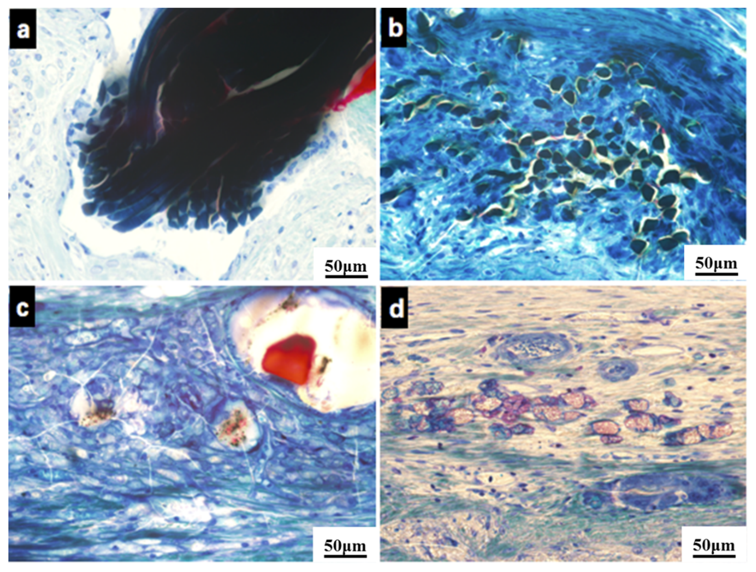 Coatings 10 00496 g007 Coatings 10 00496 g007