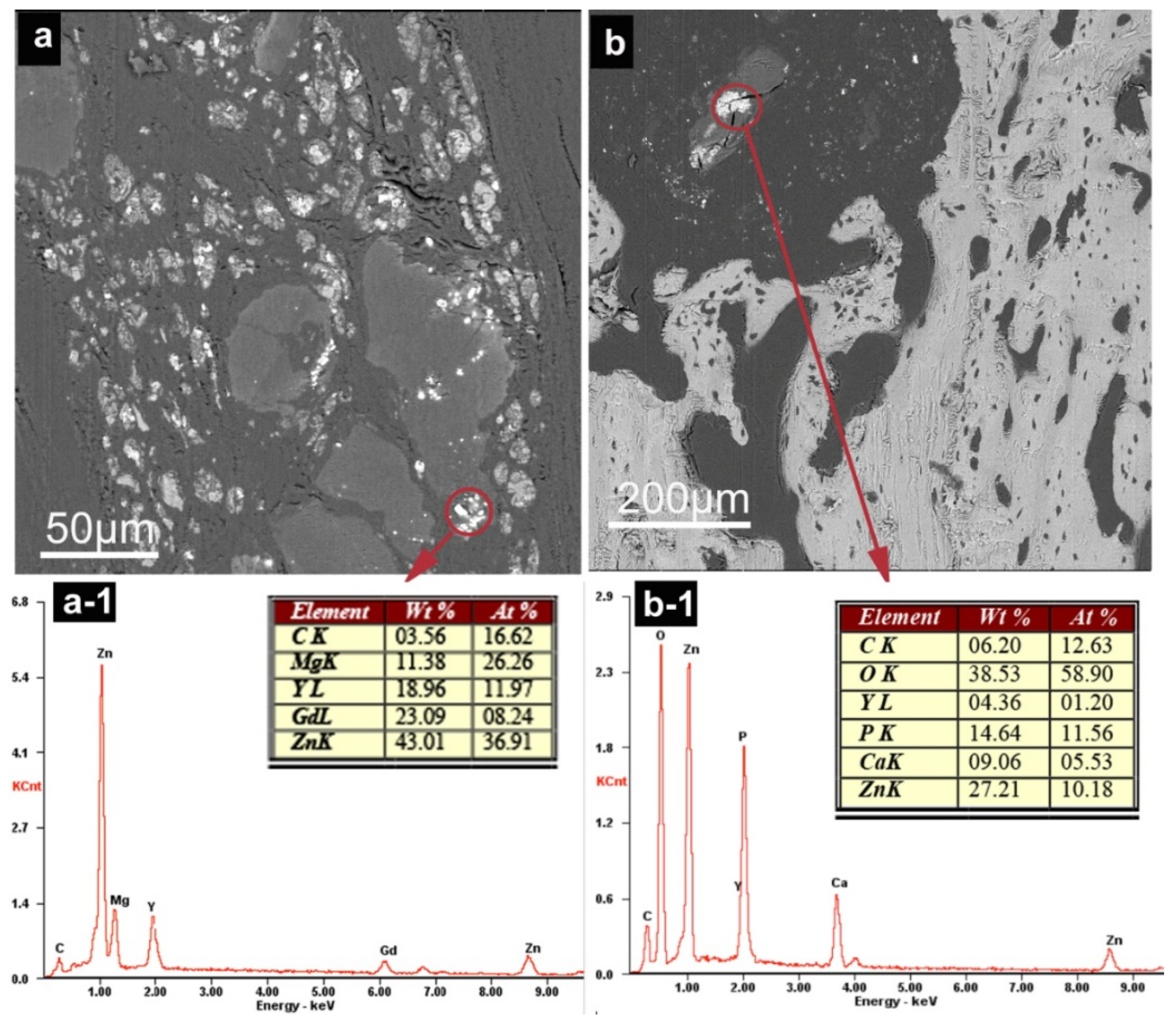 Coatings 10 00496 g009 Coatings 10 00496 g009