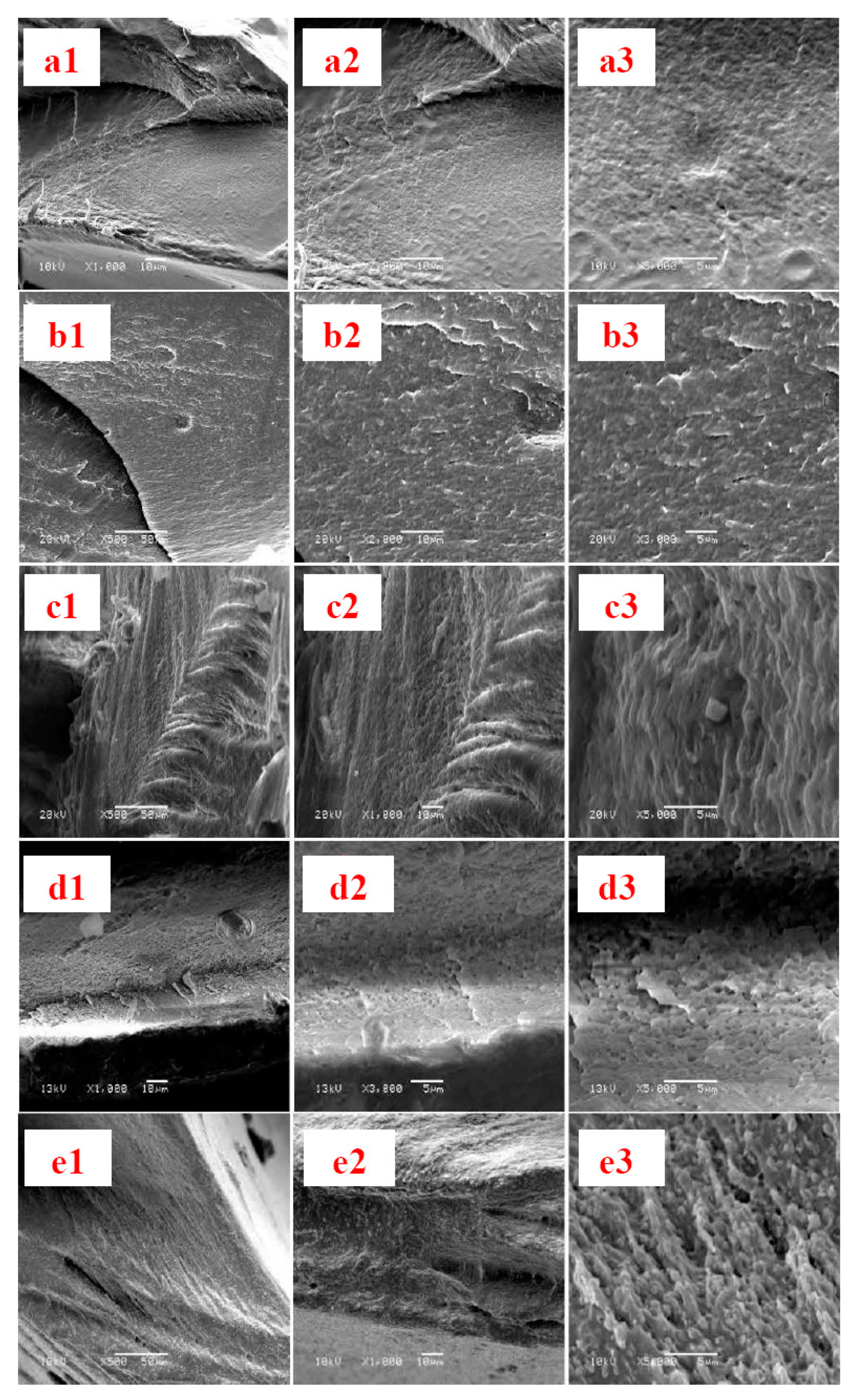 Coatings 10 00499 g003a