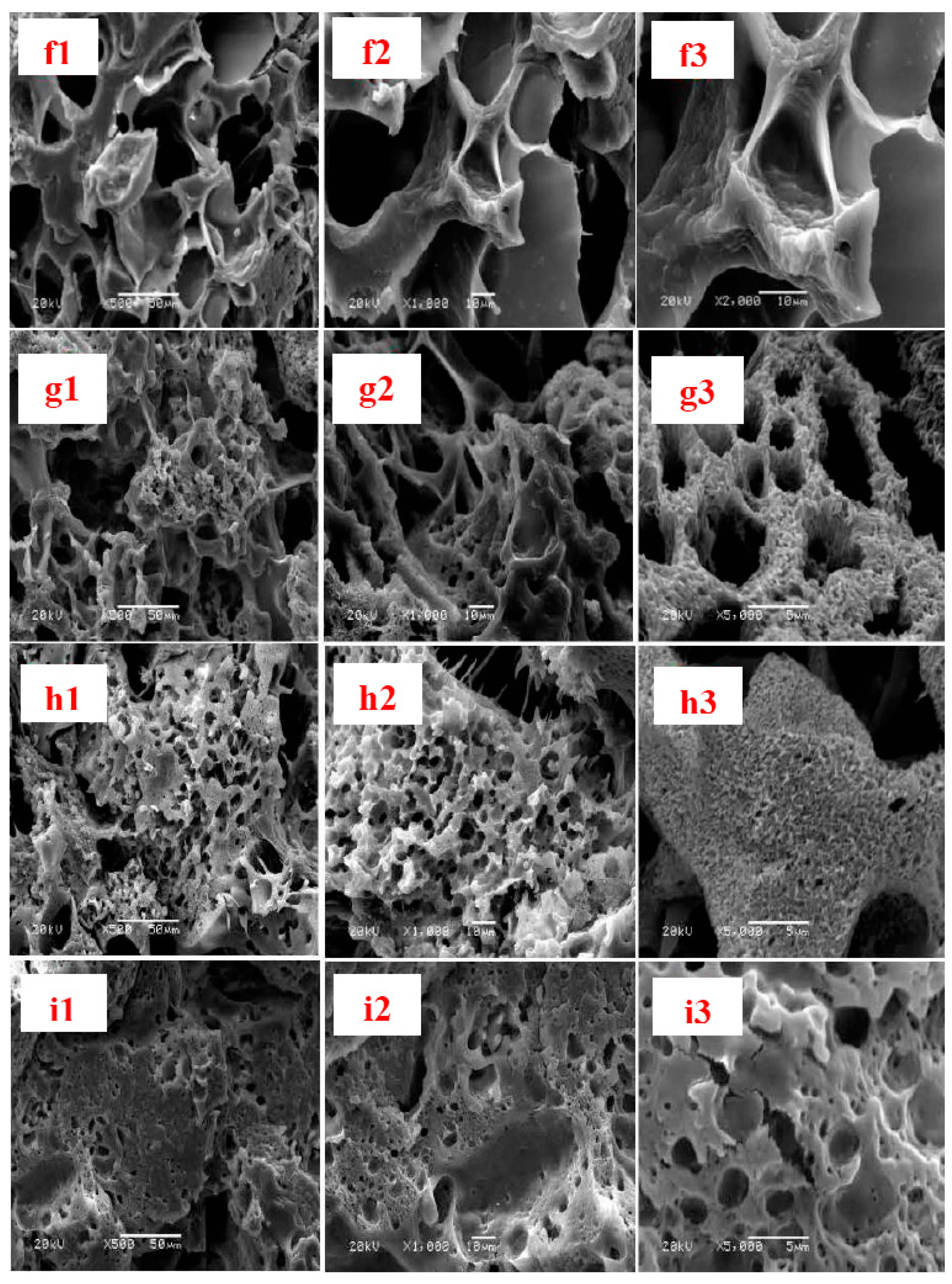 Coatings 10 00499 g003b