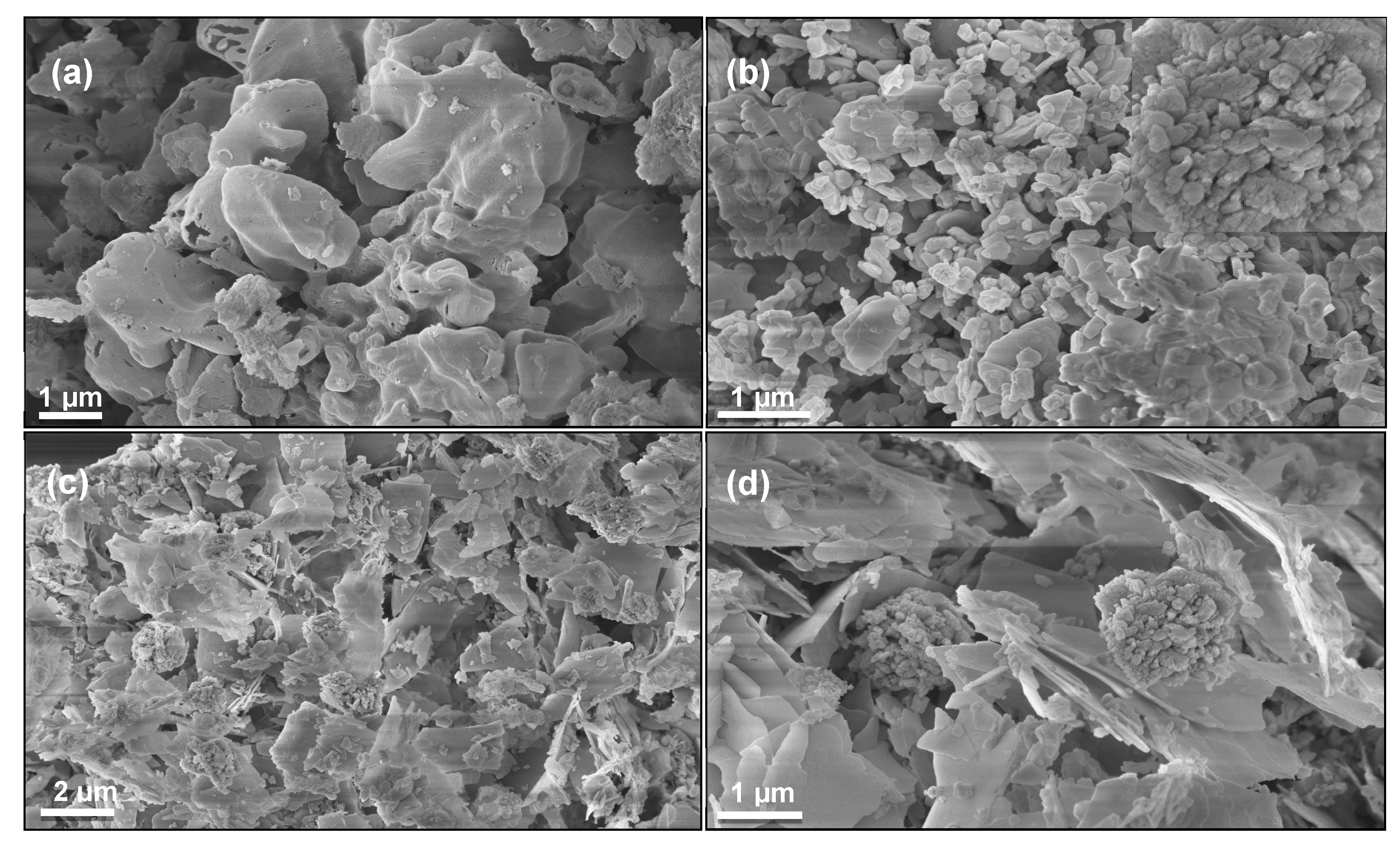 Coatings 10 00500 g002 Coatings 10 00500 g002