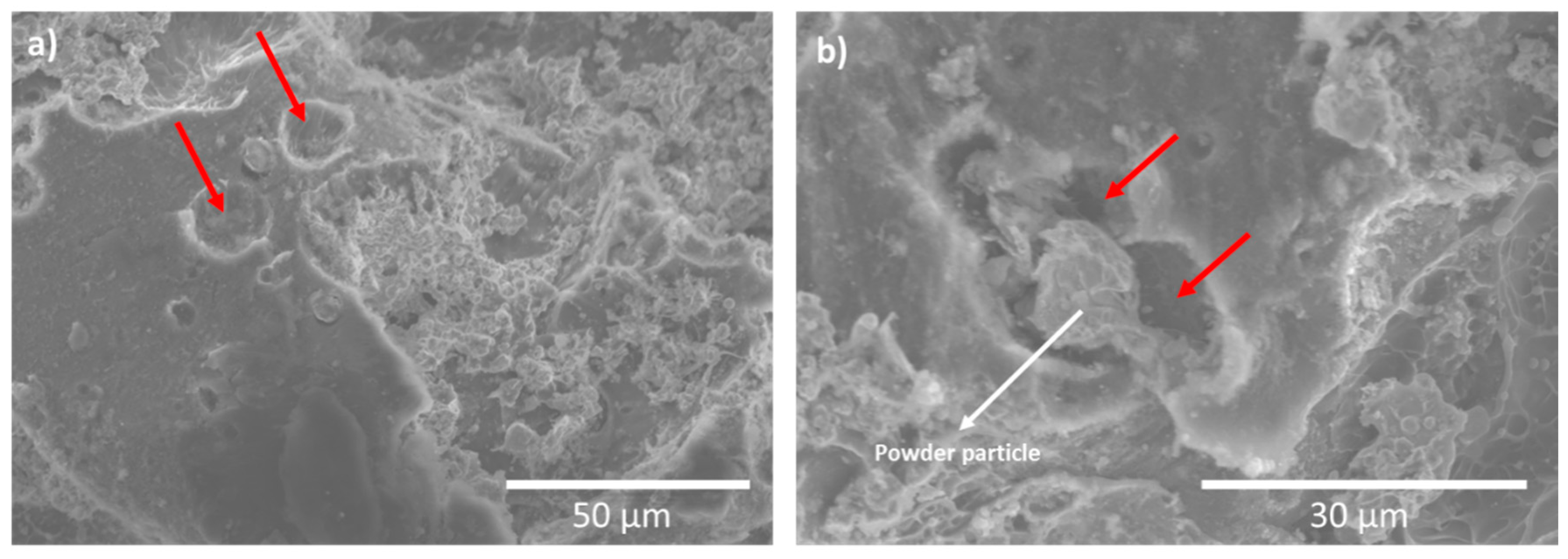 Coatings 10 00502 g003