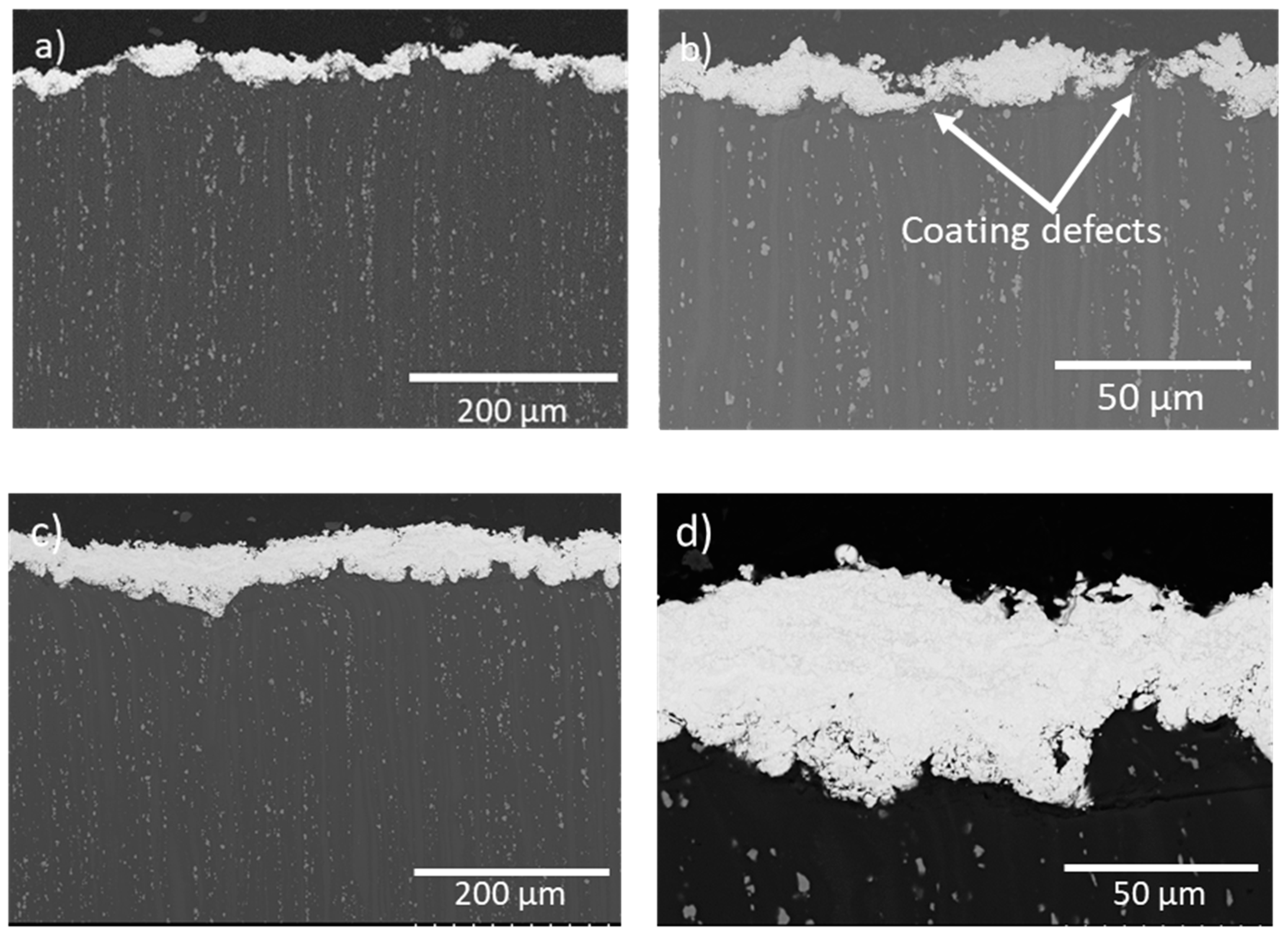 Coatings 10 00502 g004