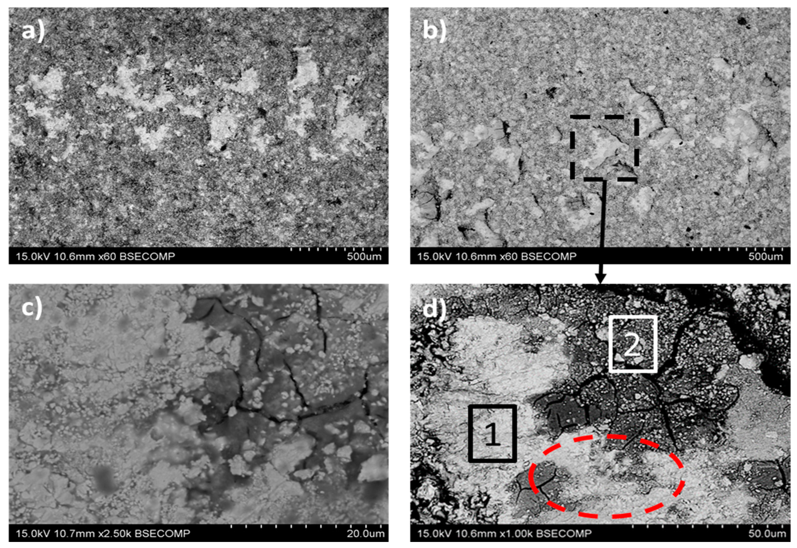 Coatings 10 00502 g011