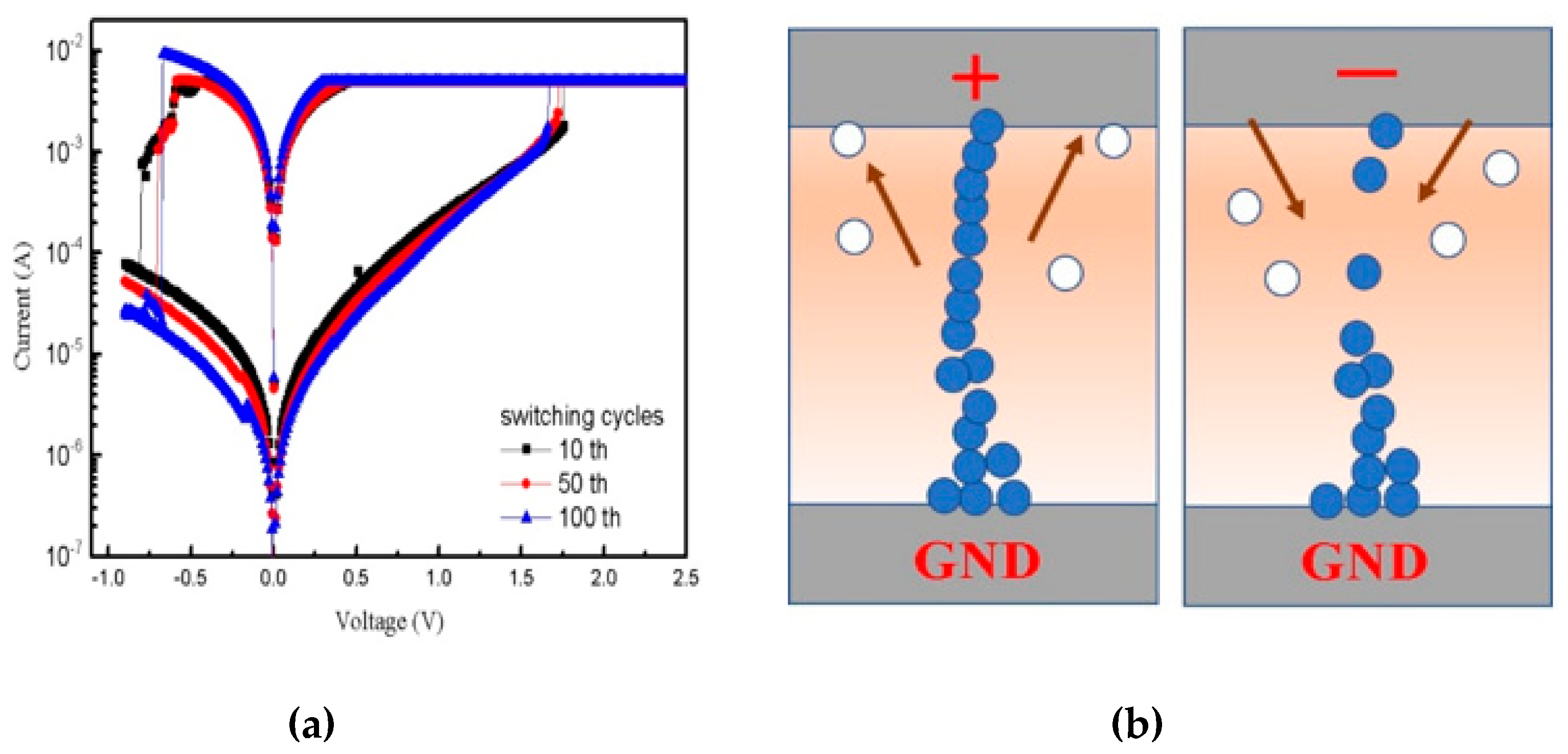 Coatings 10 00504 g003