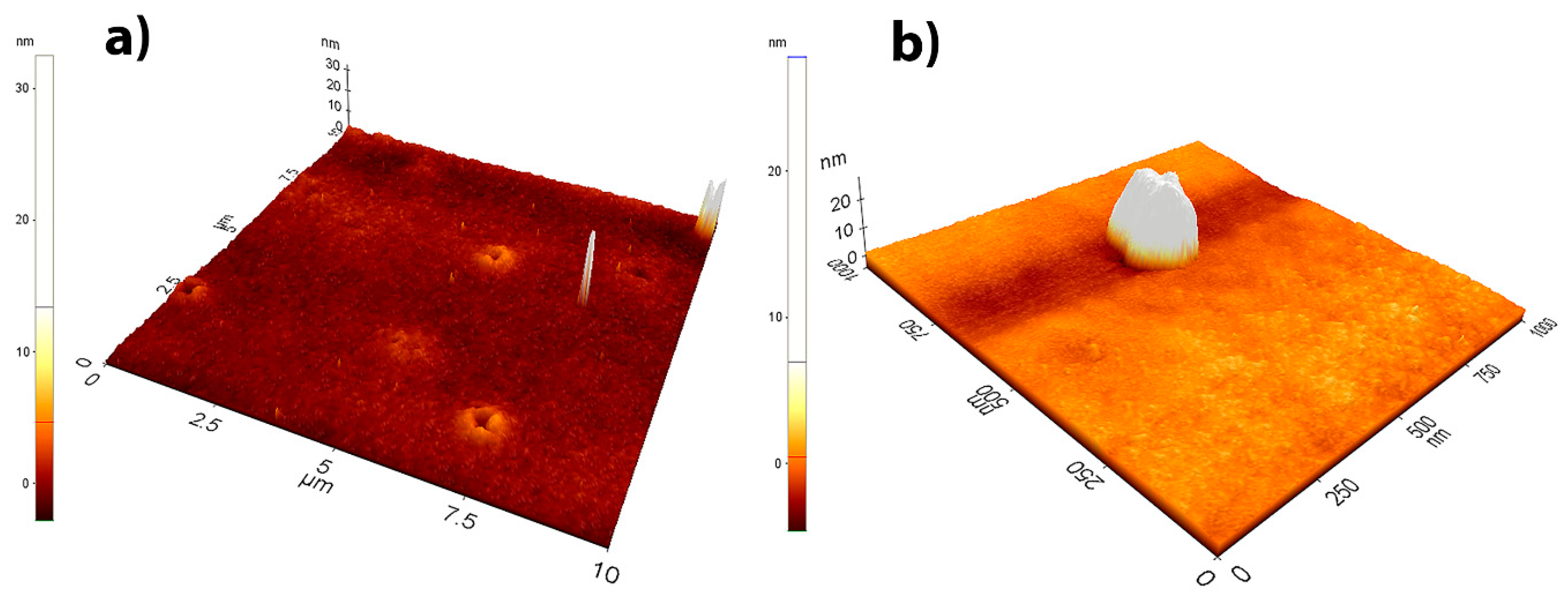 Coatings 10 00509 g001