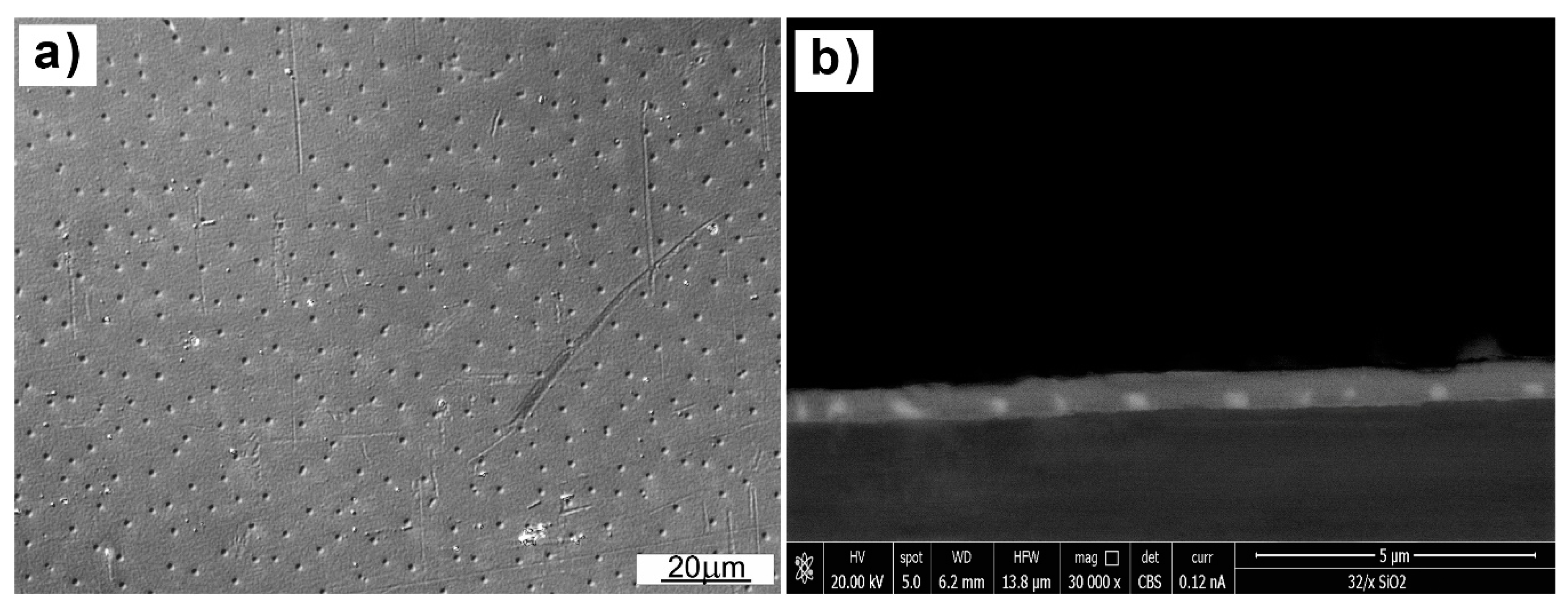 Coatings 10 00509 g002