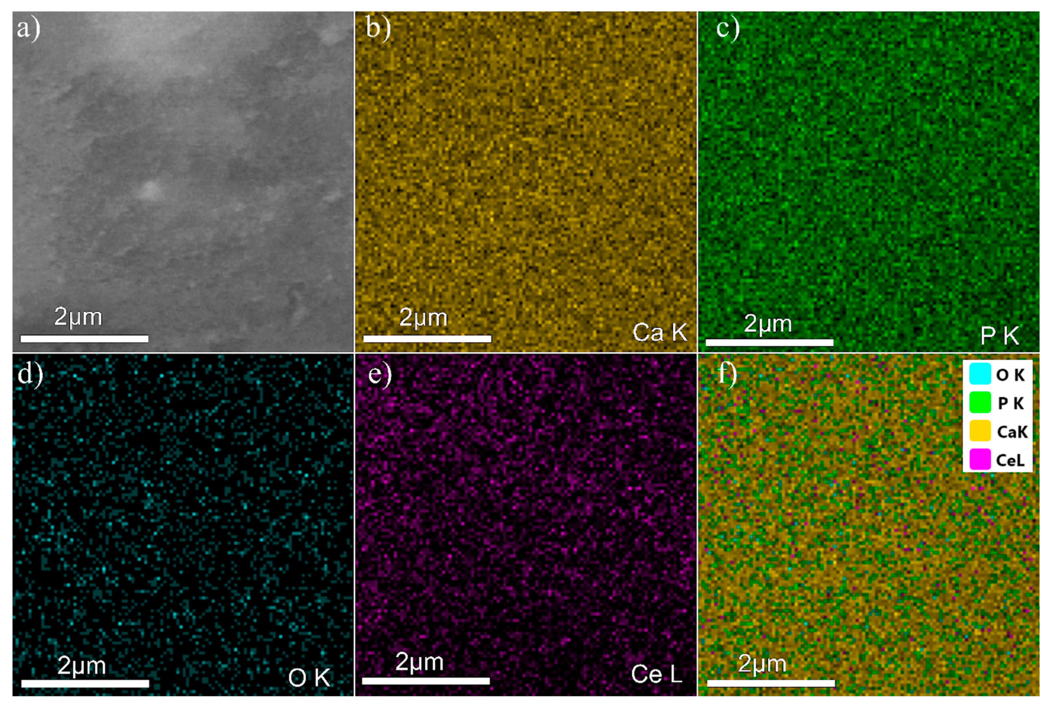 Coatings 10 00516 g007