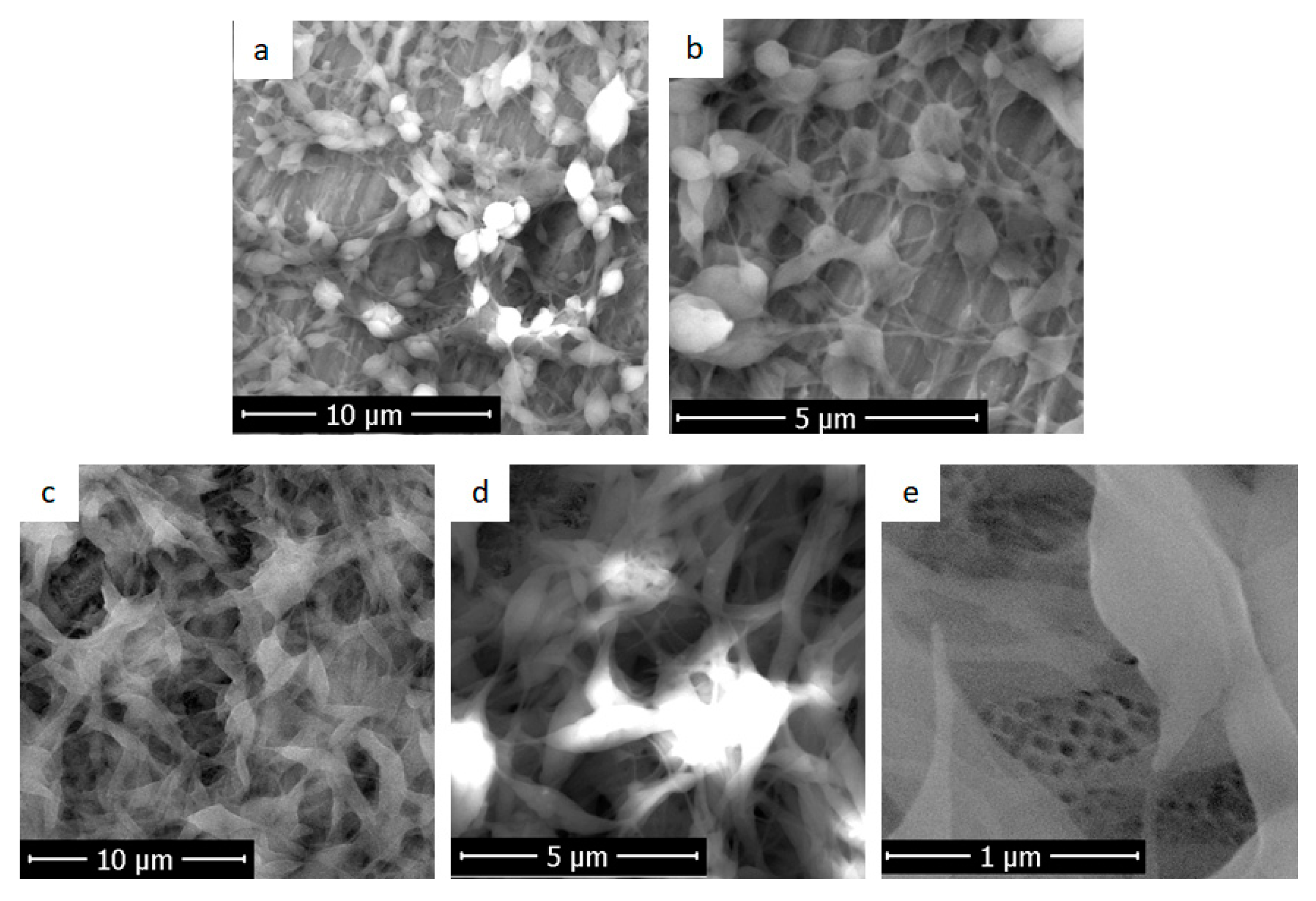 Coatings 10 00518 g003 Coatings 10 00518 g003