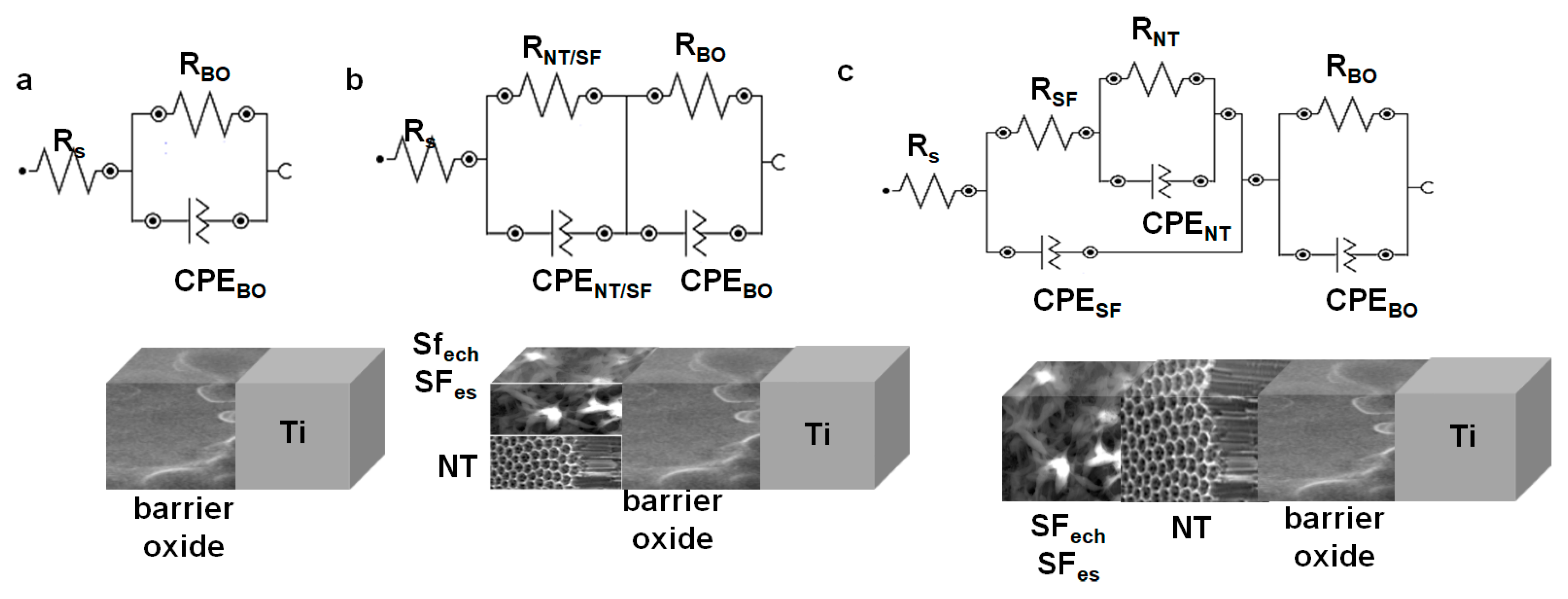Coatings 10 00518 g007 Coatings 10 00518 g007