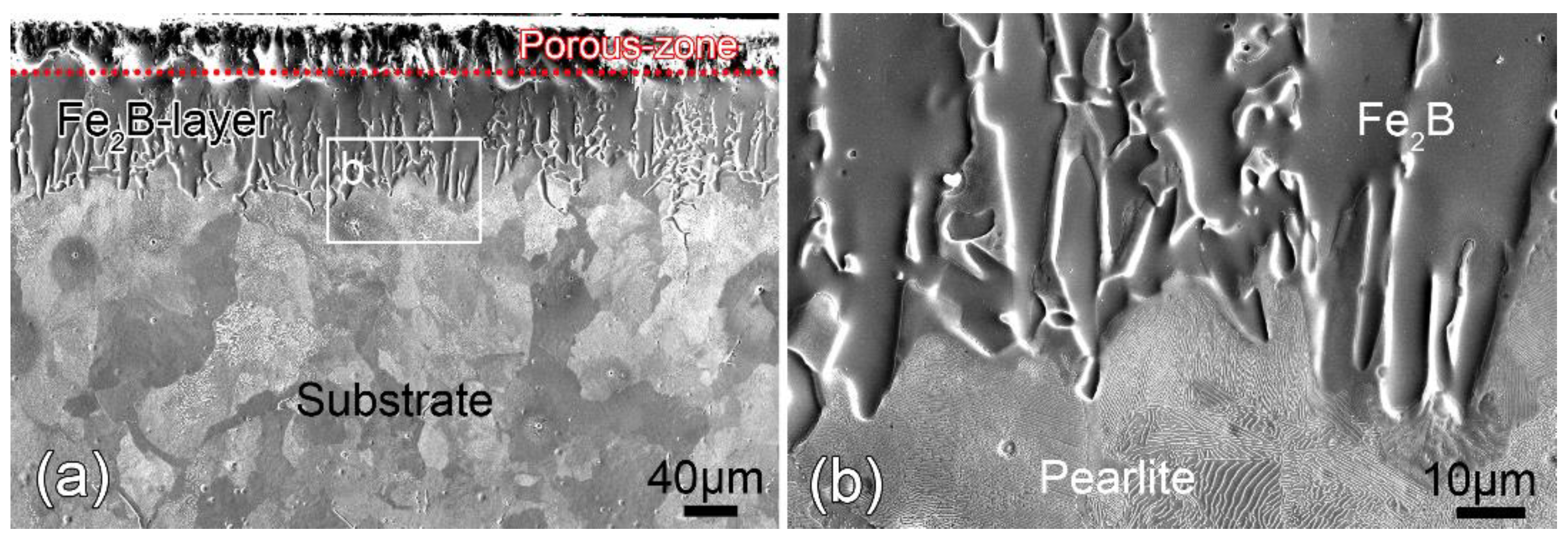 Coatings 10 00519 g001 Coatings 10 00519 g001