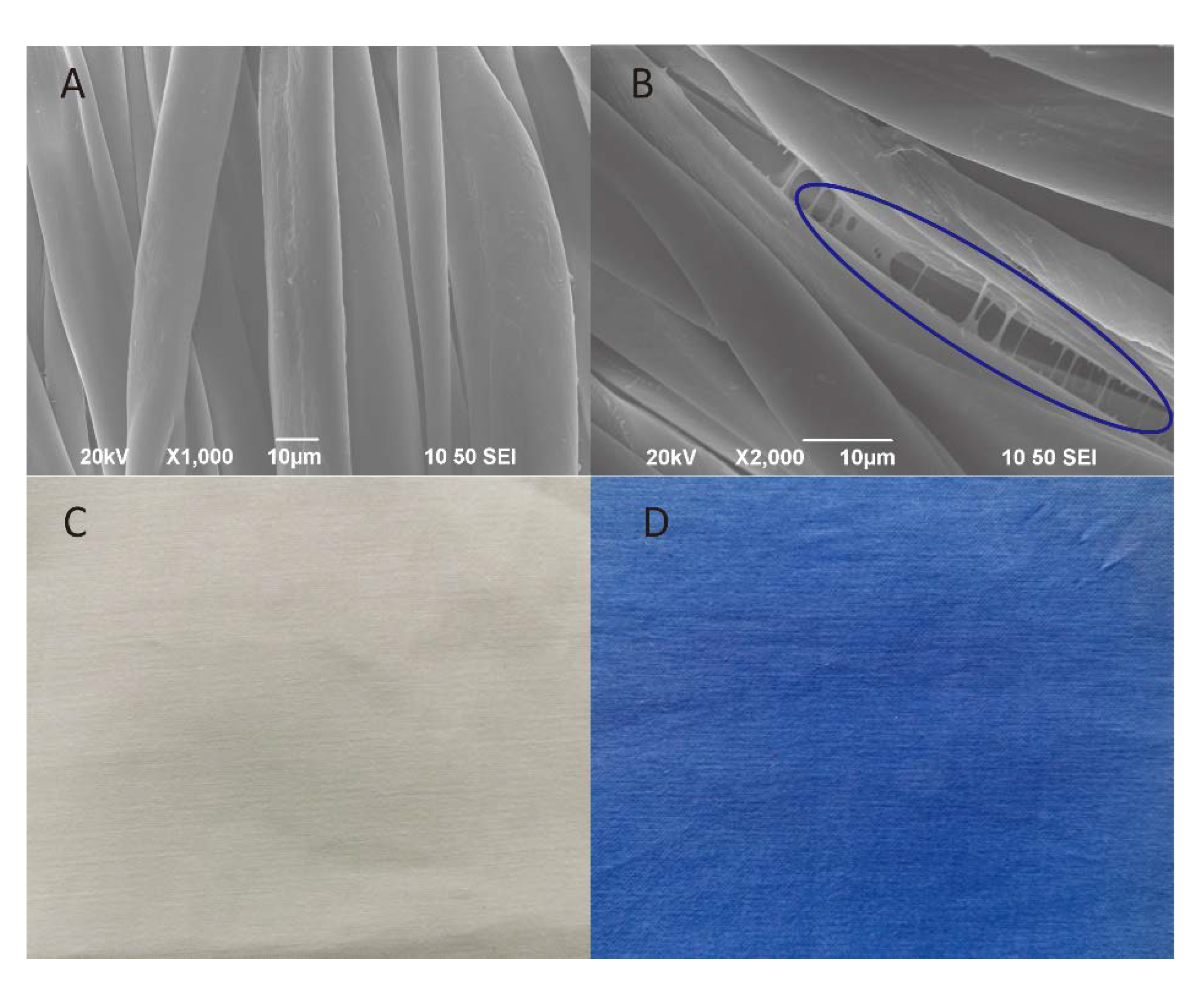 Coatings 10 00520 g002 Coatings 10 00520 g002