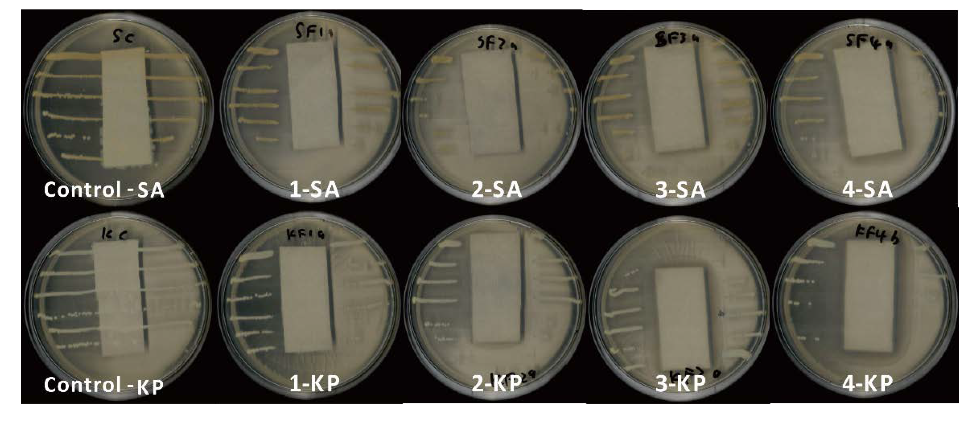 Coatings 10 00520 g004 Coatings 10 00520 g004