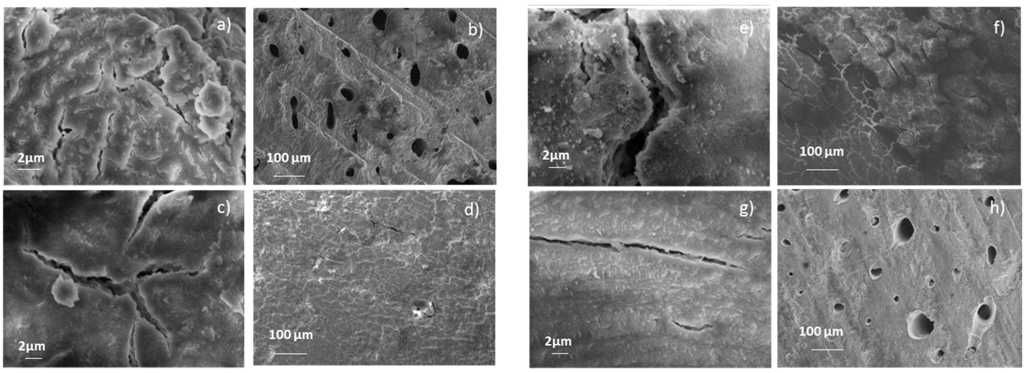 Coatings 10 00522 g001 Coatings 10 00522 g001