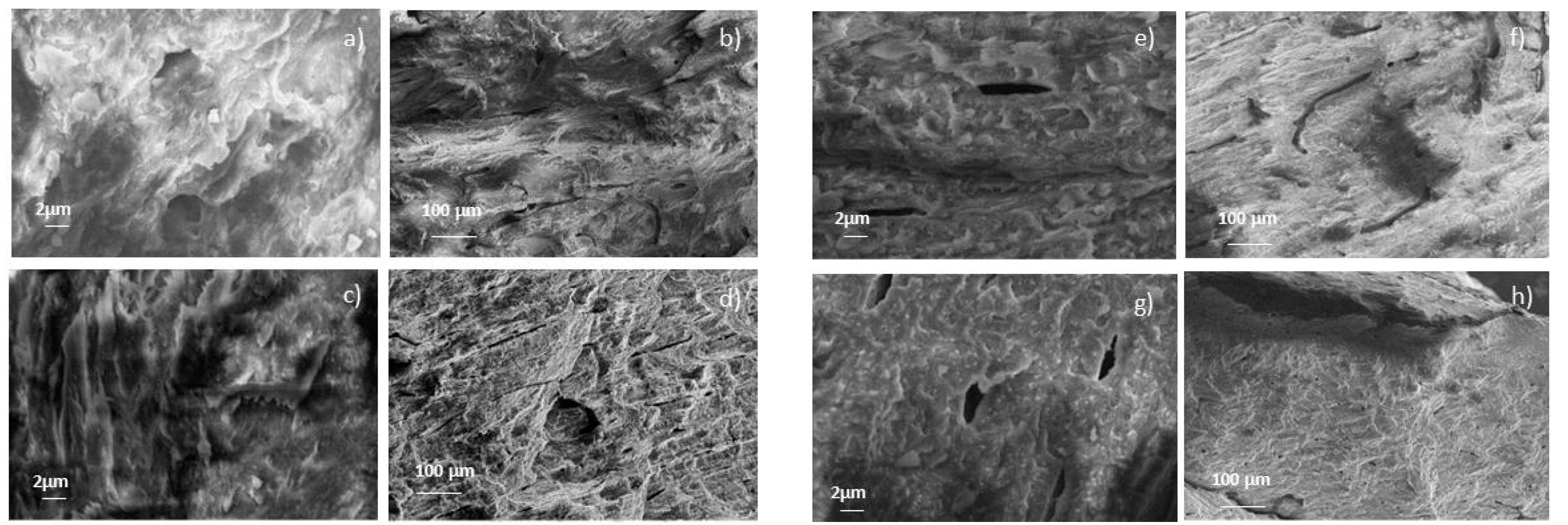 Coatings 10 00522 g004 Coatings 10 00522 g004