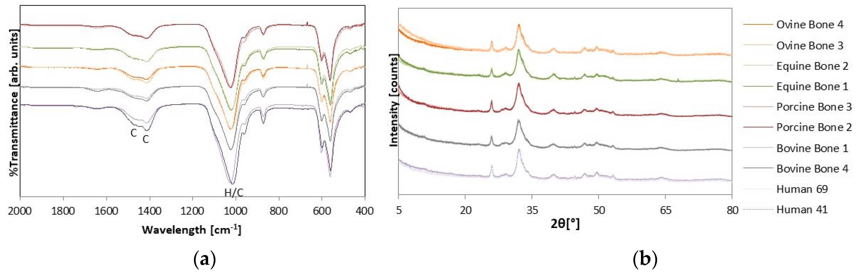 Coatings 10 00522 g005 Coatings 10 00522 g005