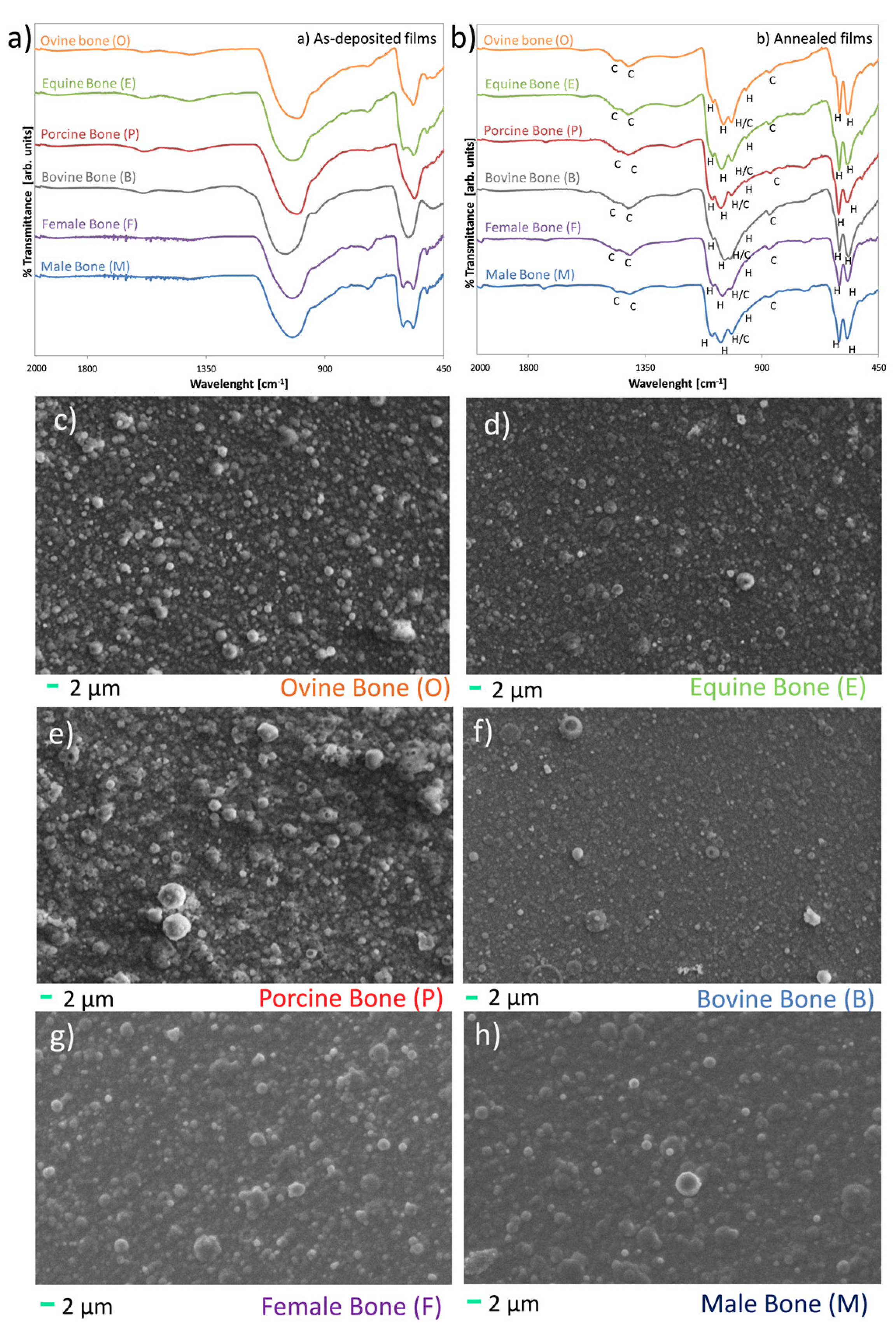 Coatings 10 00522 g006 Coatings 10 00522 g006