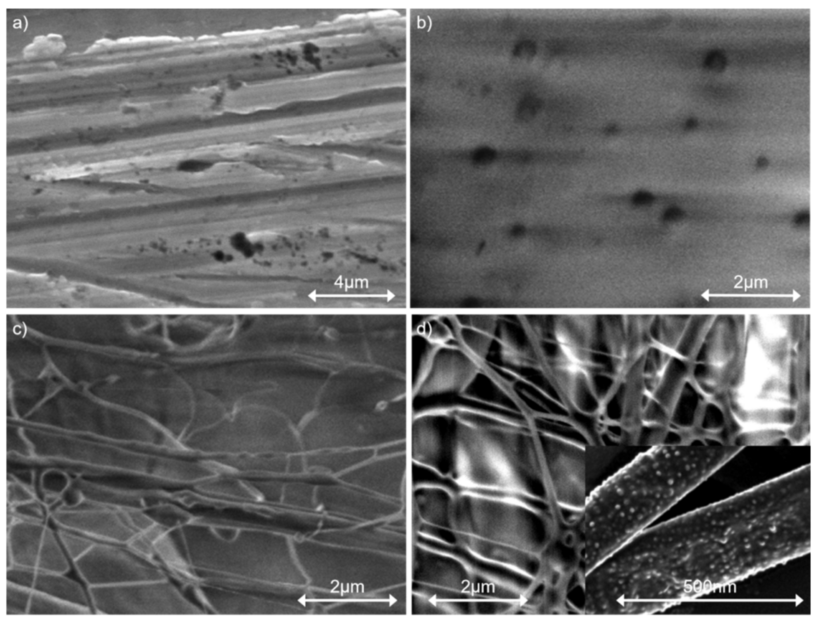 Coatings 10 00526 g001